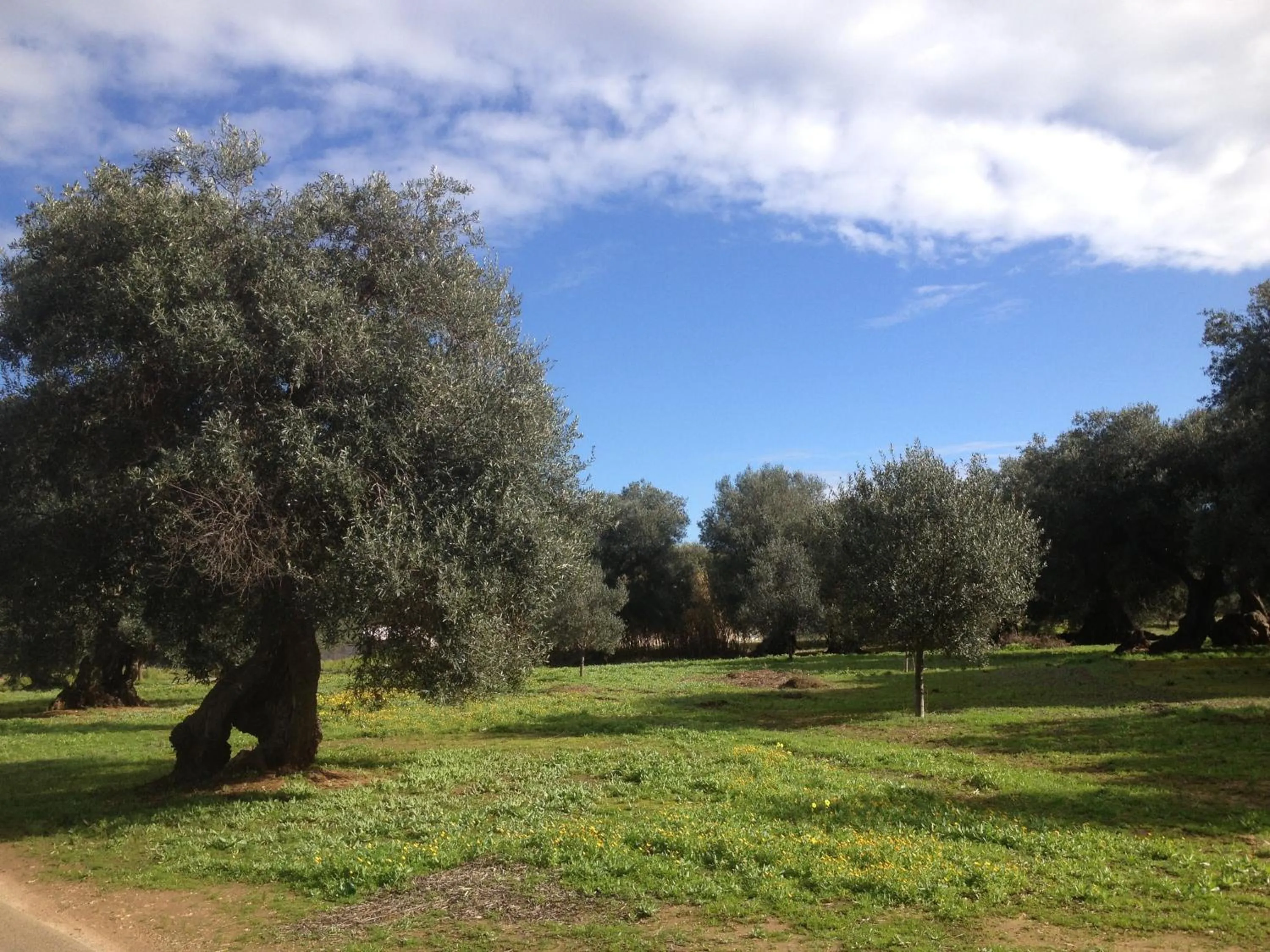 Natural landscape in B&B Le Vele