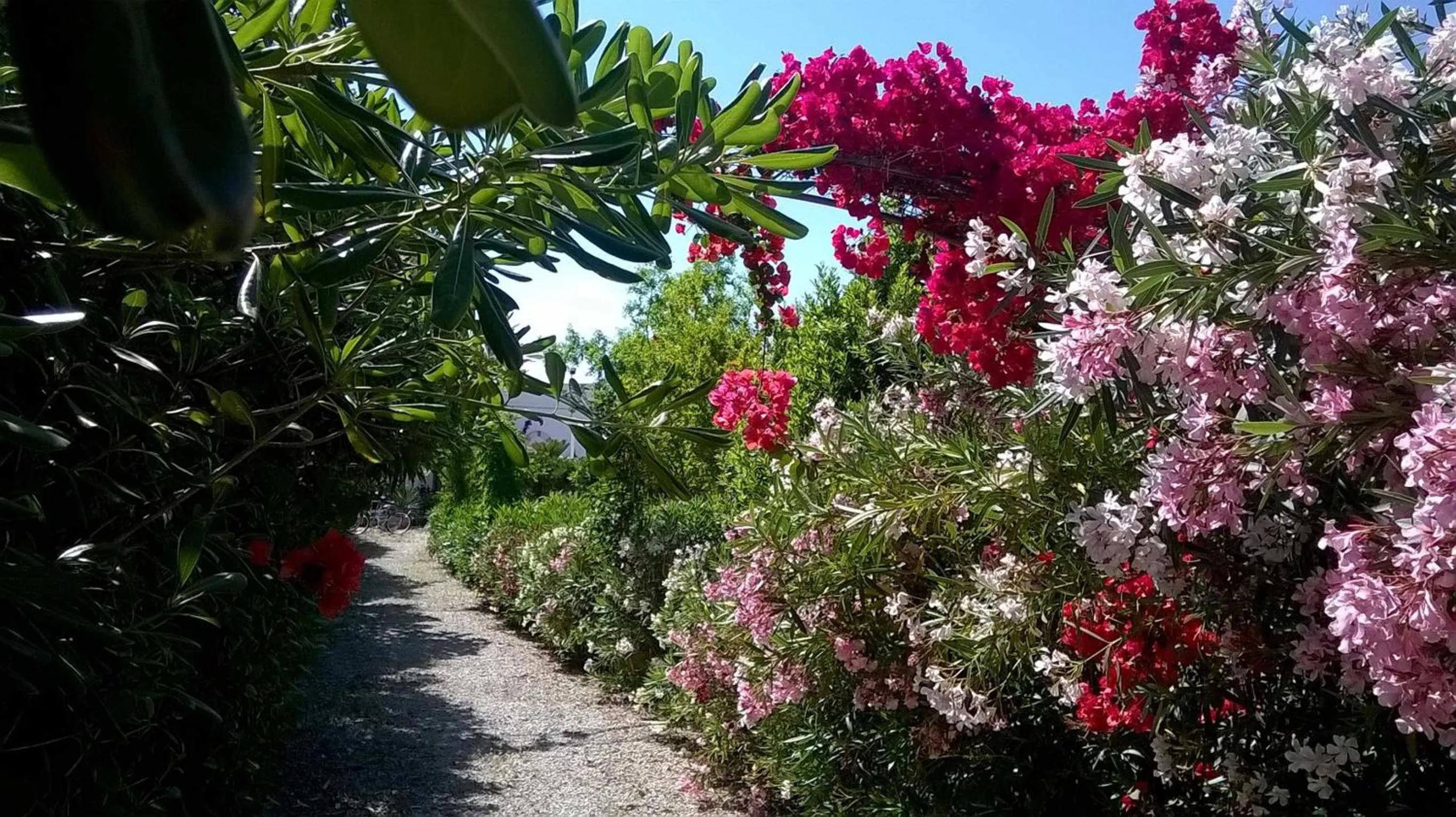 Other in B&B Le Vele