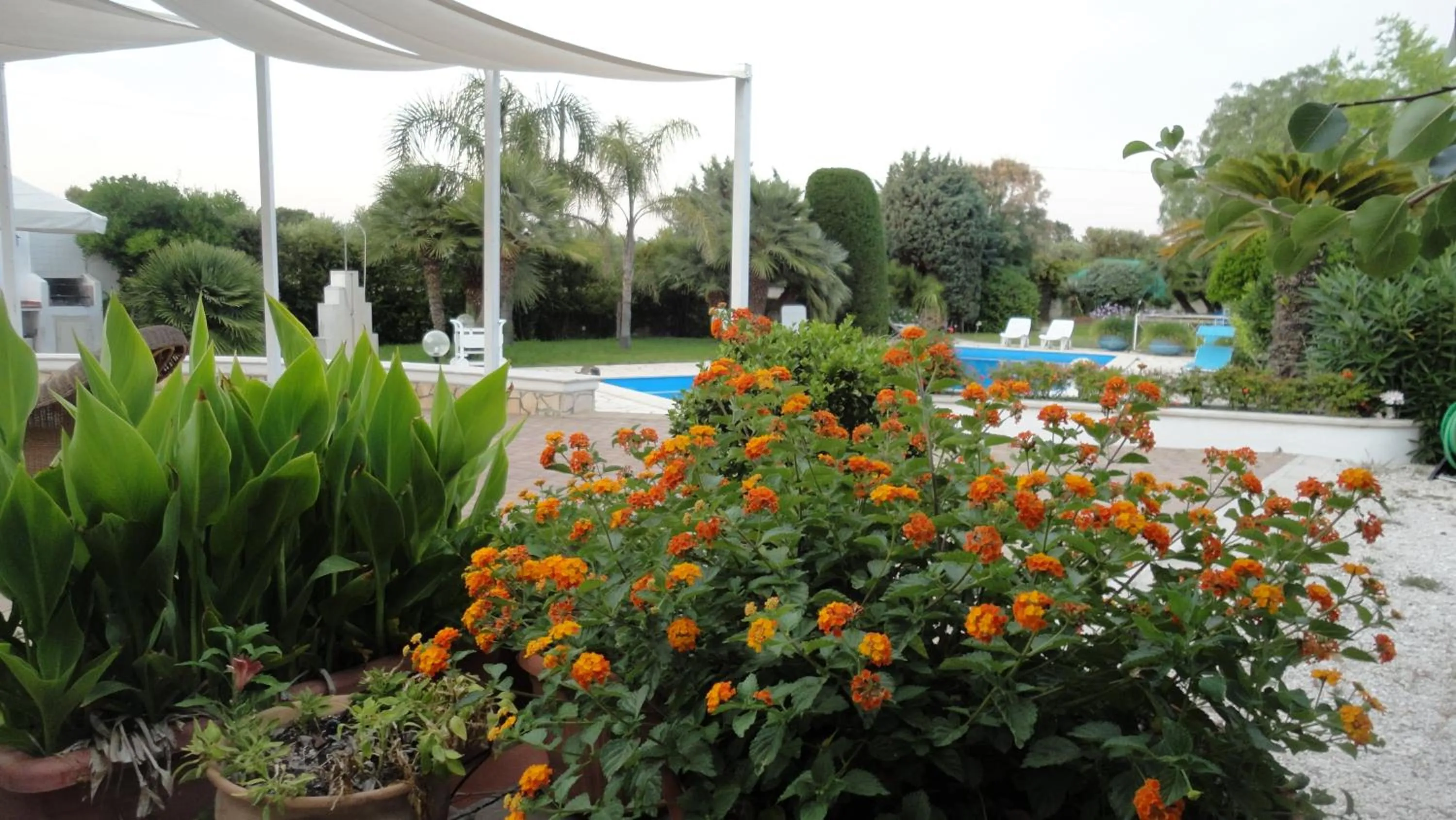 Garden in B&B Le Vele