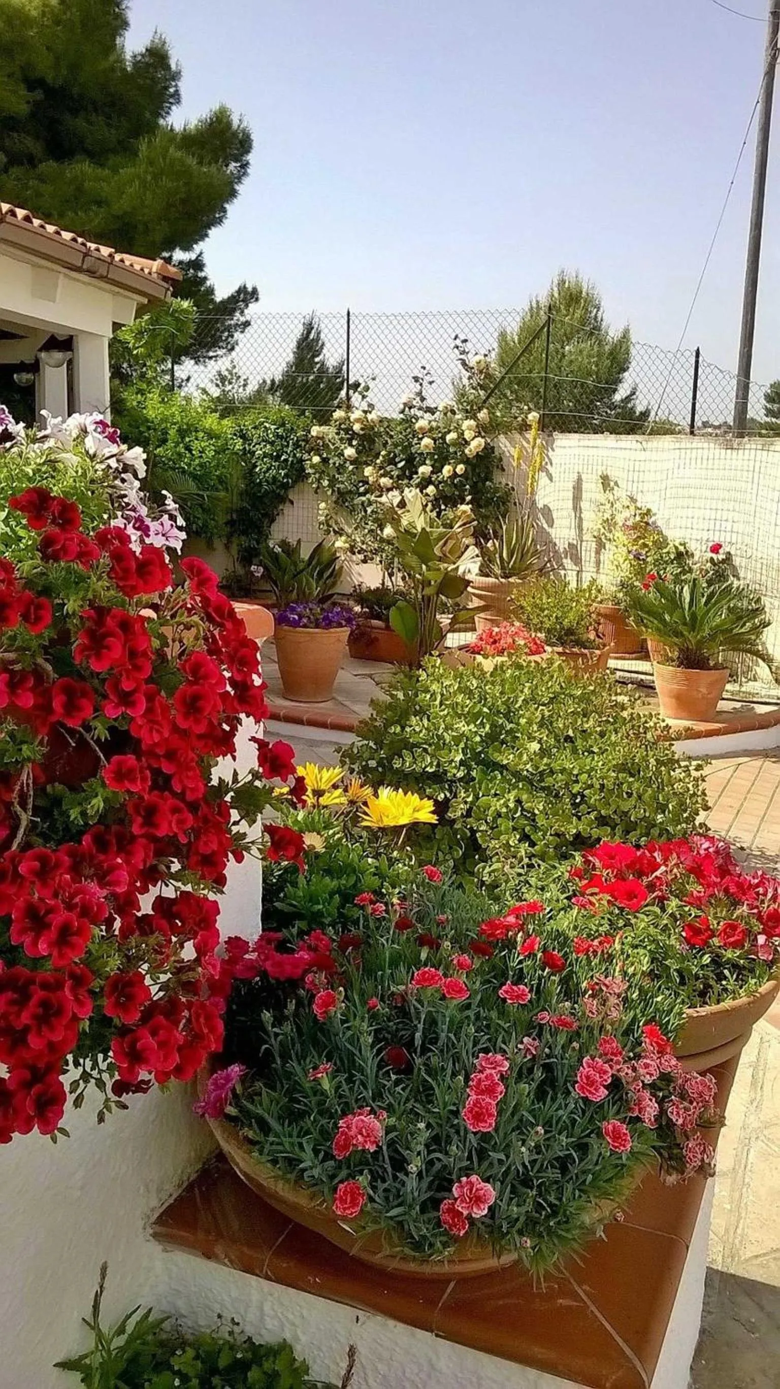 Decorative detail in B&B Le Vele