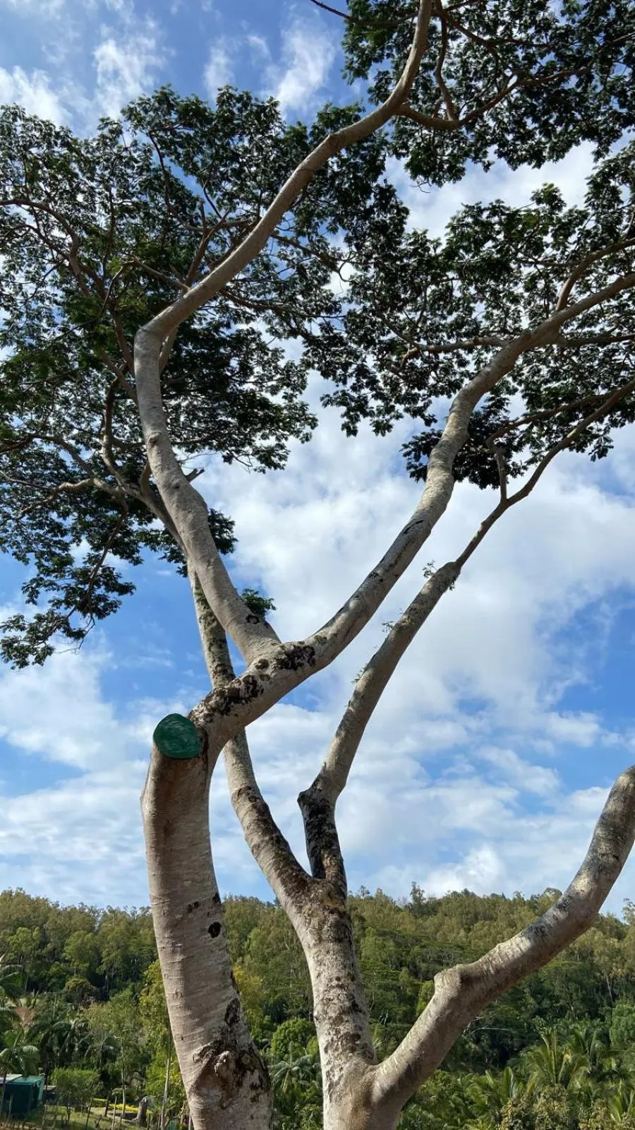 Lakaz Chamarel Exclusive Lodge