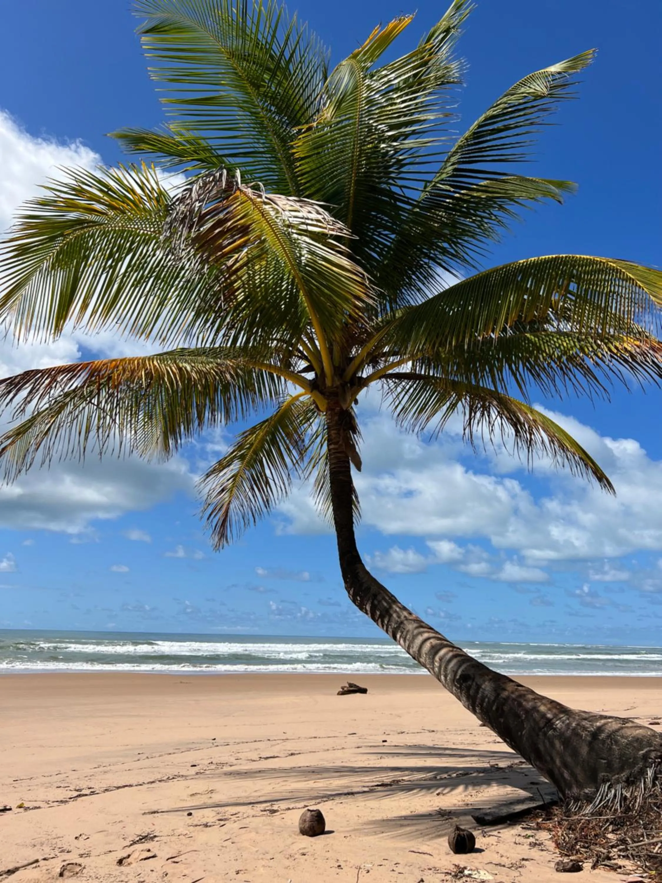 Day in Pousada Oceano Atlântico