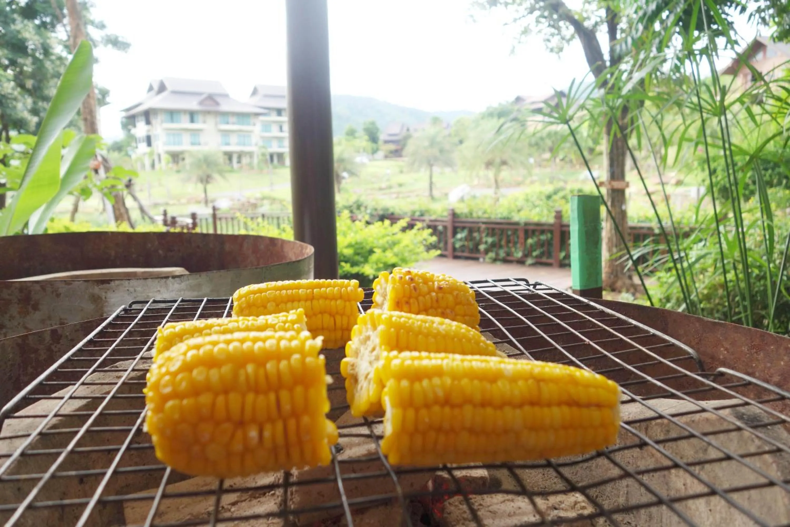 Food in Patravana Resort