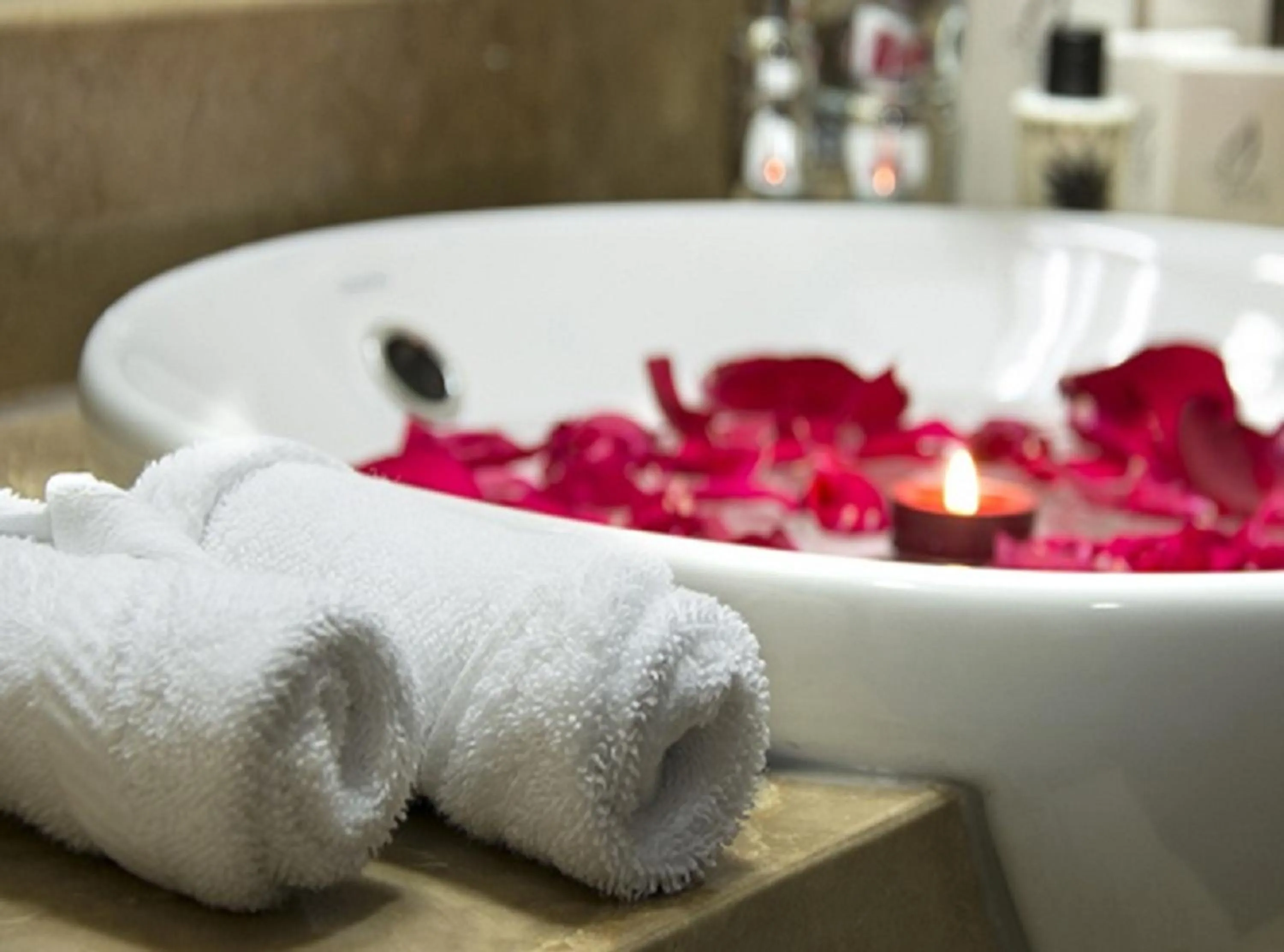 Area and facilities in Mughal Suites