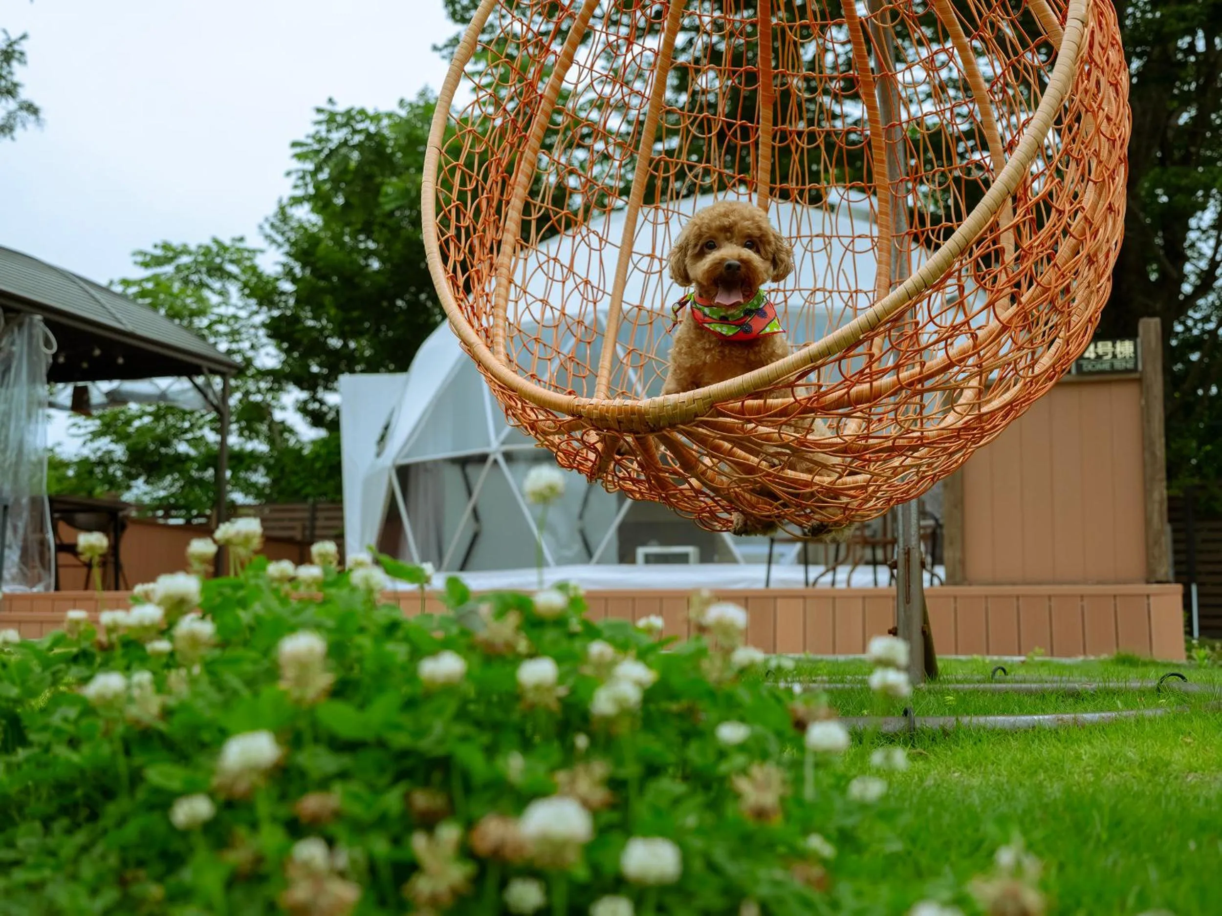 Day in Gramercy Village 山中湖 Glamping &Sauna