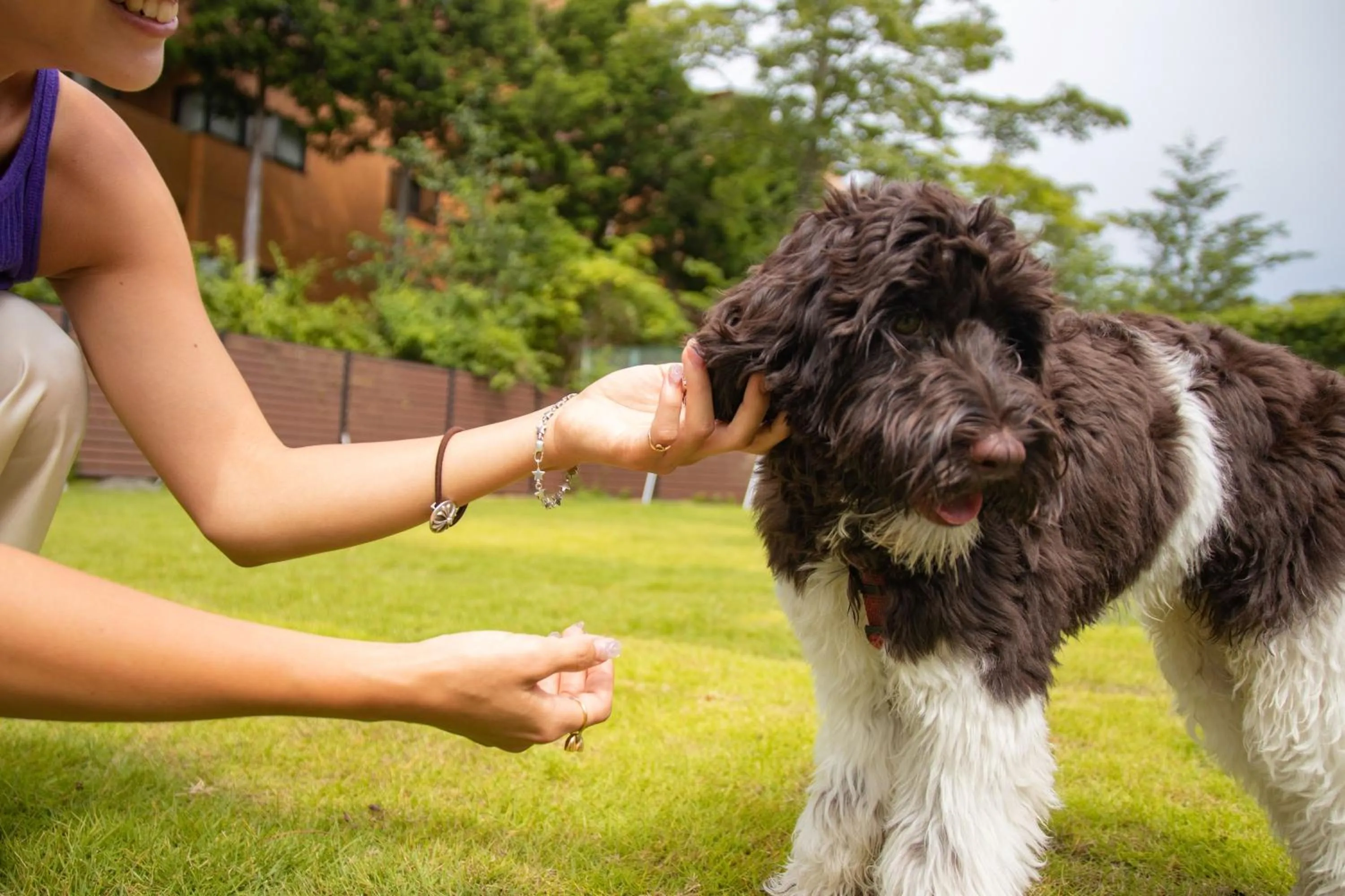 Day in Gramercy Village 山中湖 Glamping &Sauna