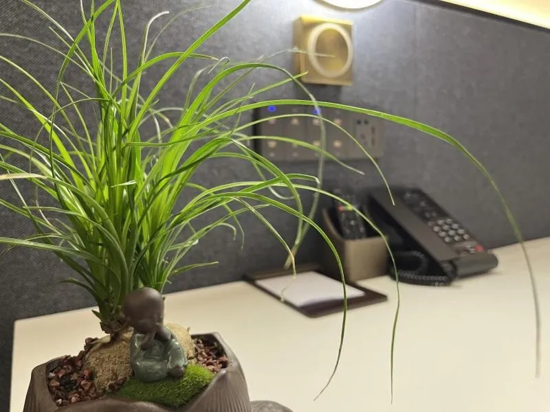 GreenTree Eastern Hotel Yiwu International Trade City