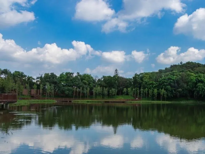 GreenTree Eastern Hotel Shenzhen Pinghu Hua'nan City Hehua Subway Station