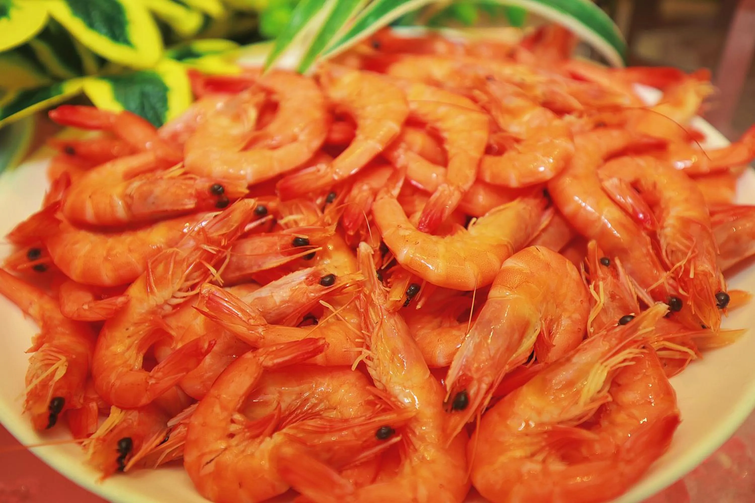 Lunch in Keypai Hotel