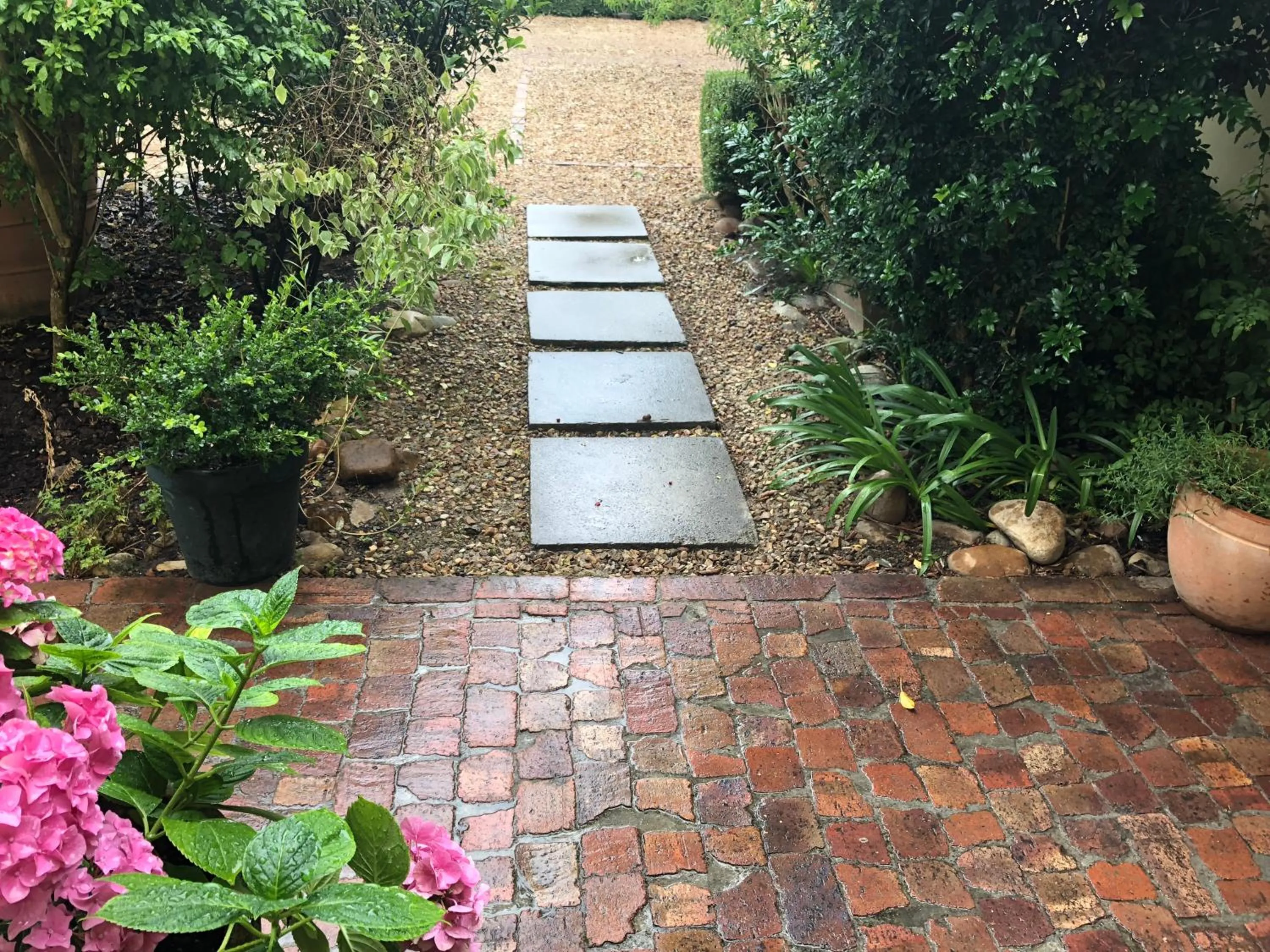 Garden view in 10 Alexander B&B