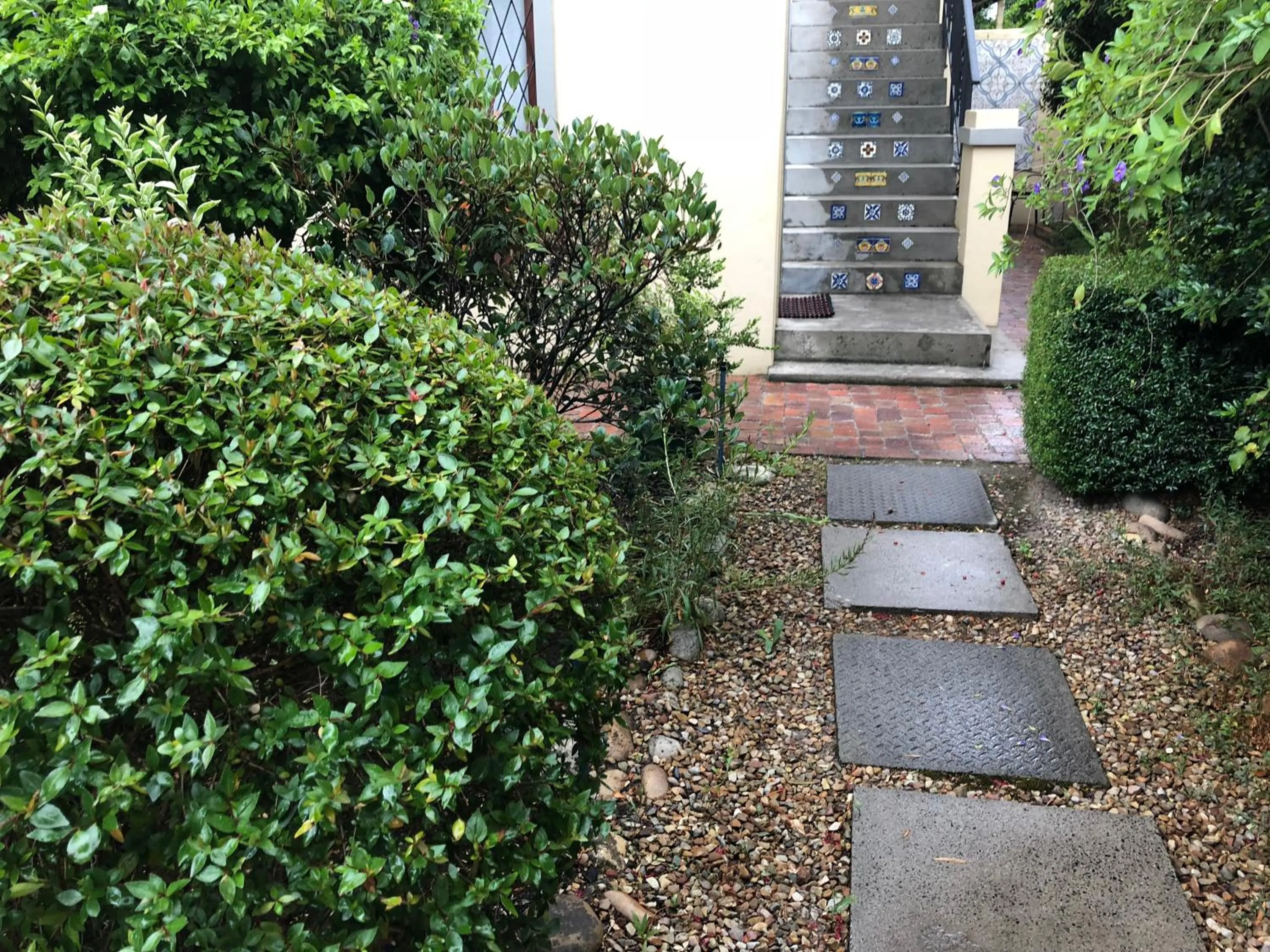 Garden view in 10 Alexander B&B