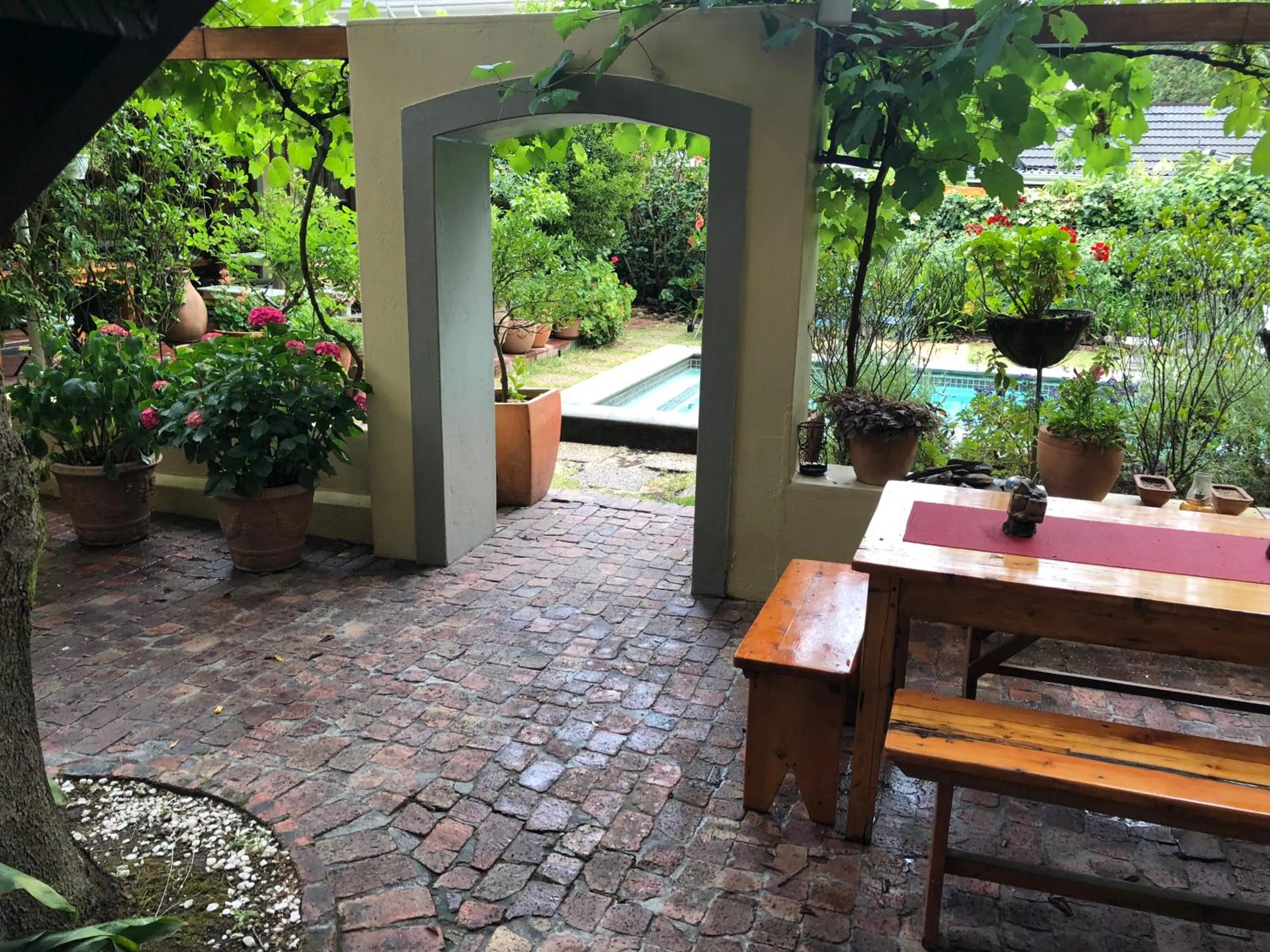 Garden view in 10 Alexander B&B