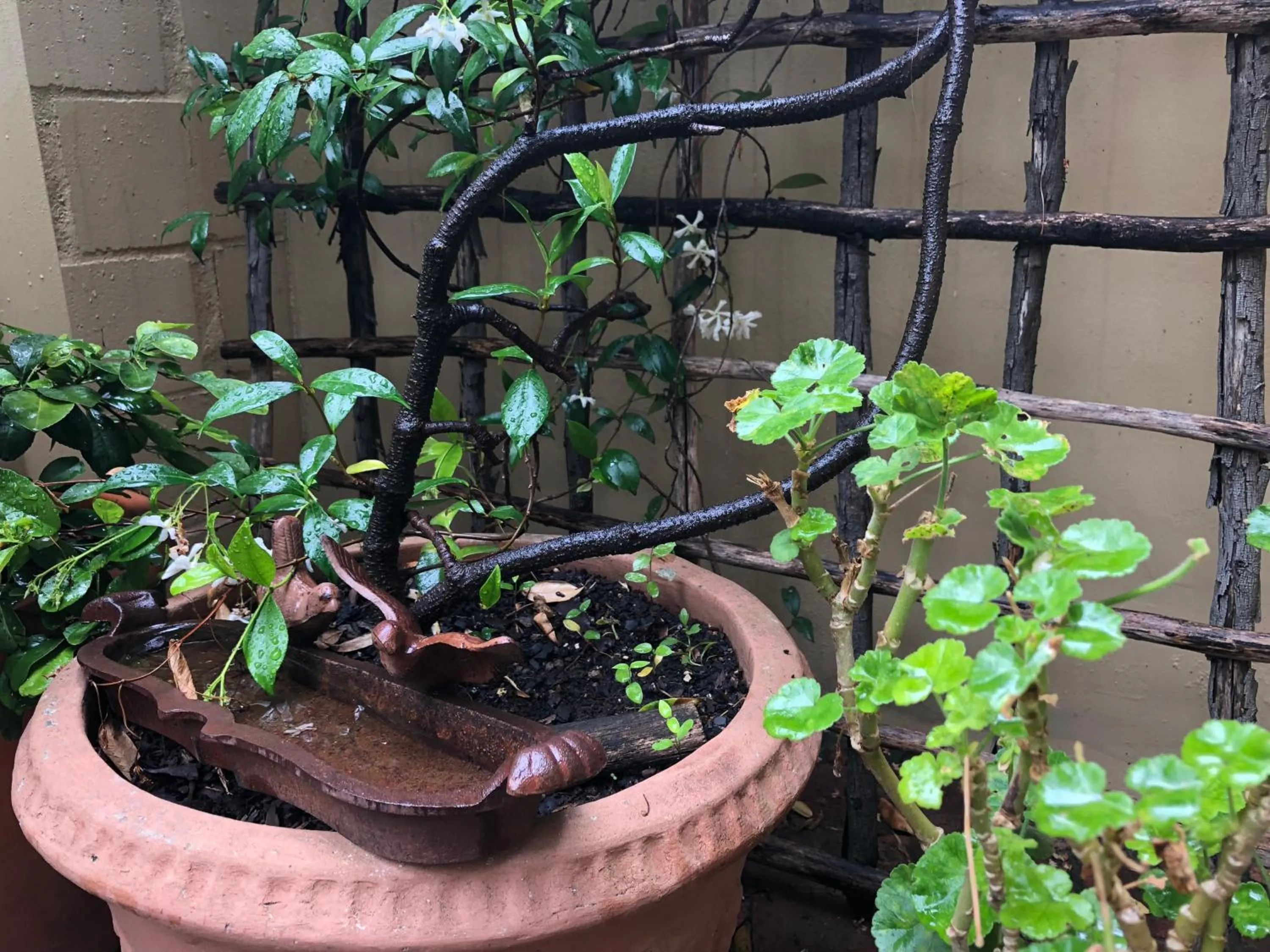 Decorative detail in 10 Alexander B&B