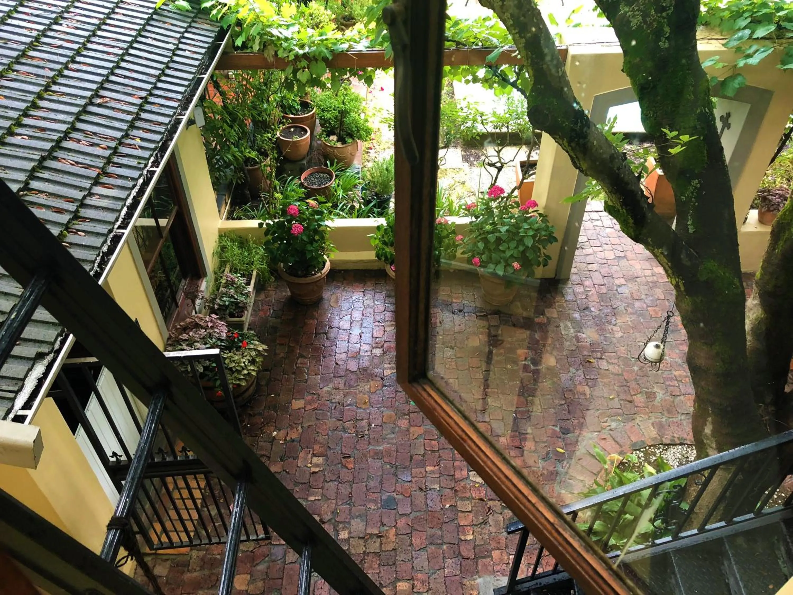 Garden view in 10 Alexander B&B