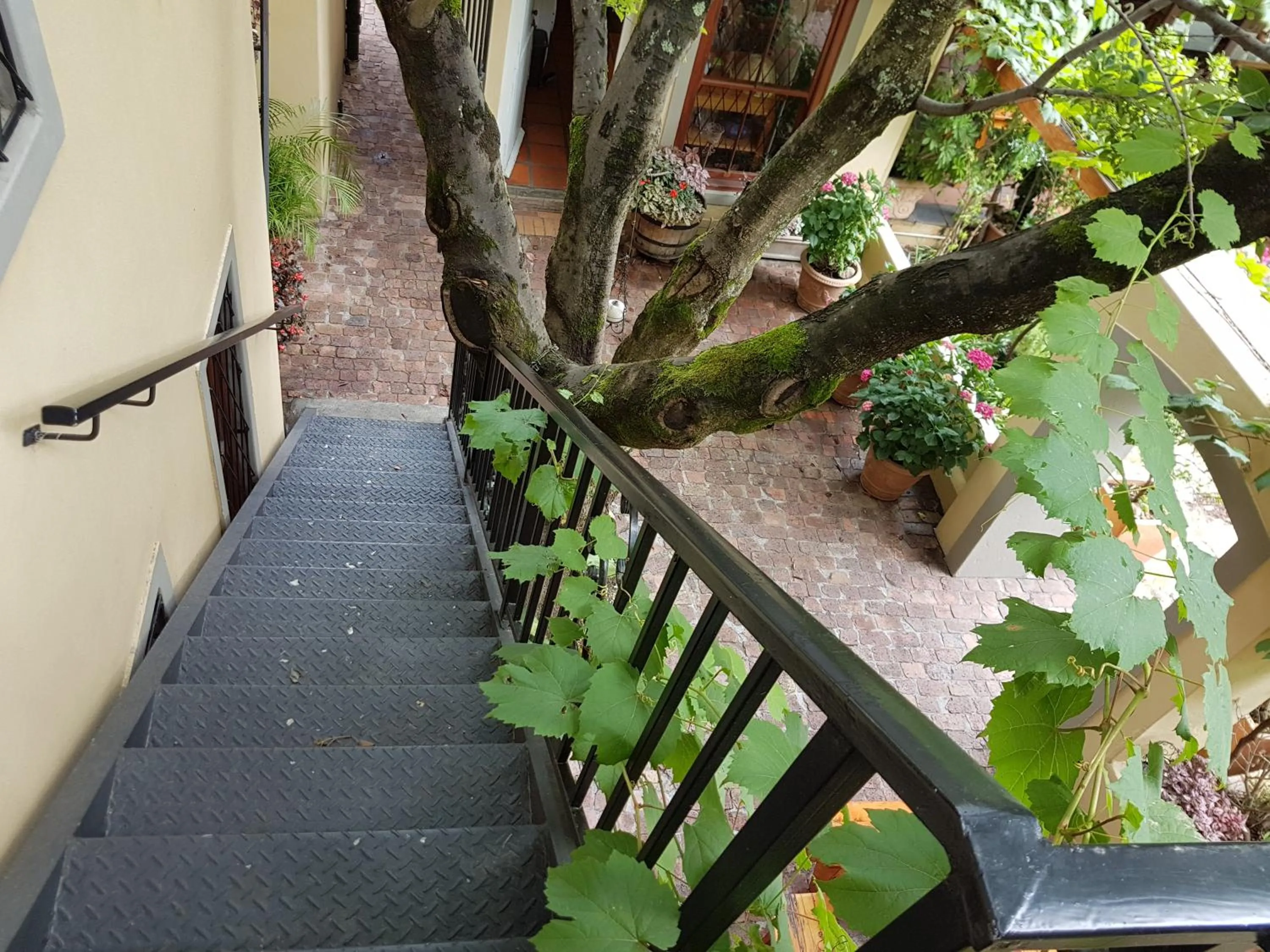 Area and facilities in 10 Alexander B&B