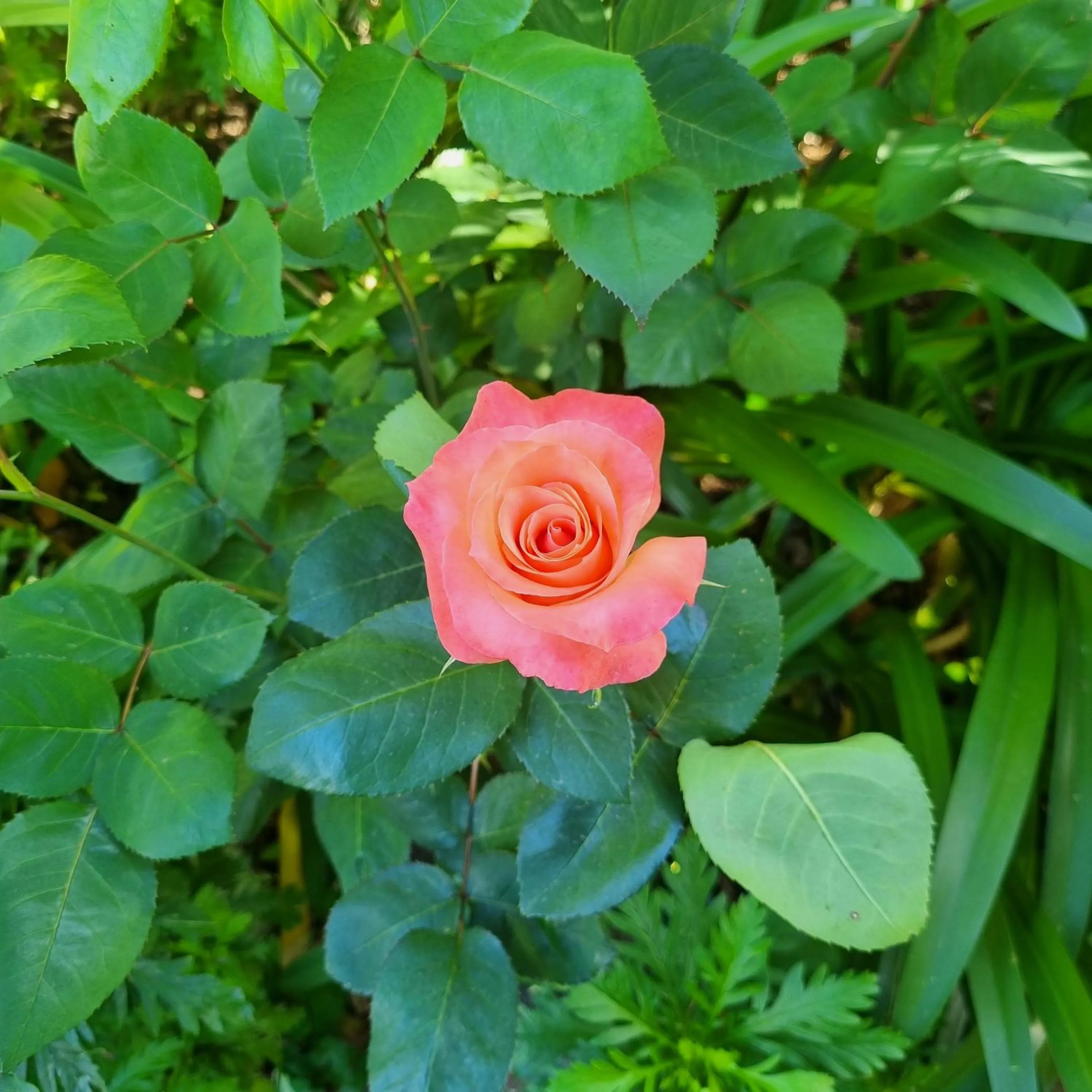 Property building in 10 Alexander B&B