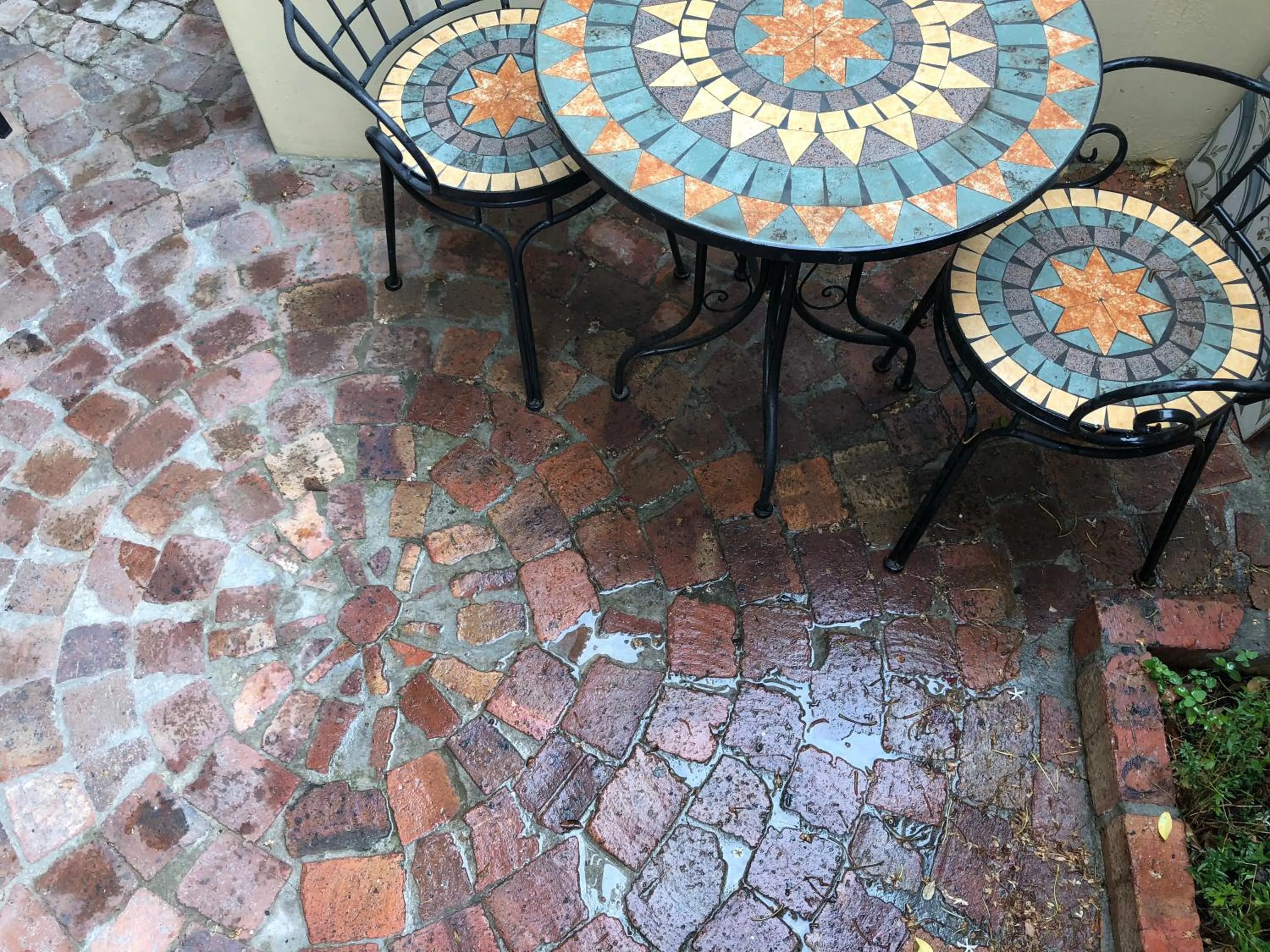 Garden view in 10 Alexander B&B