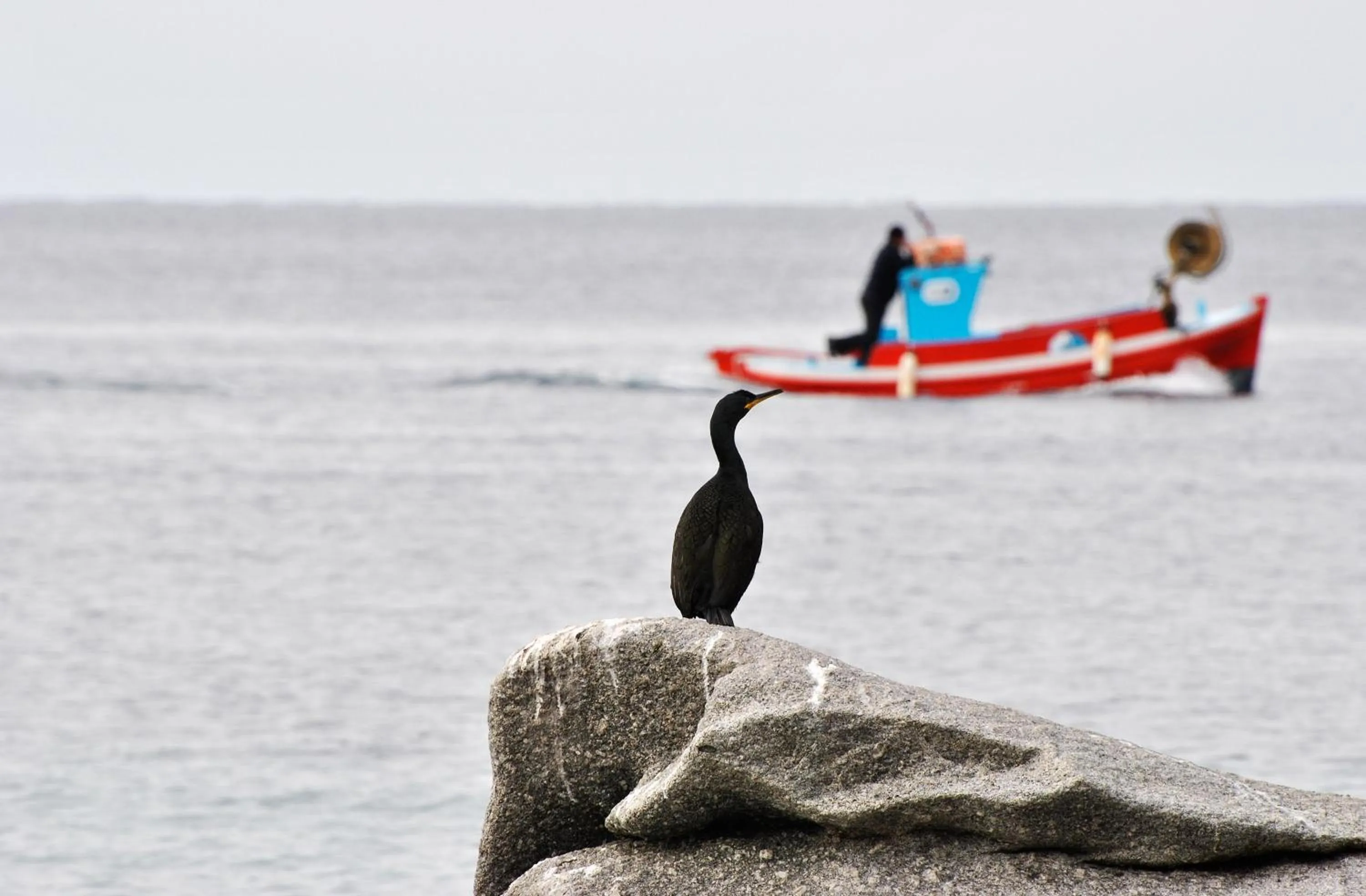 People in Casa Anna Suites