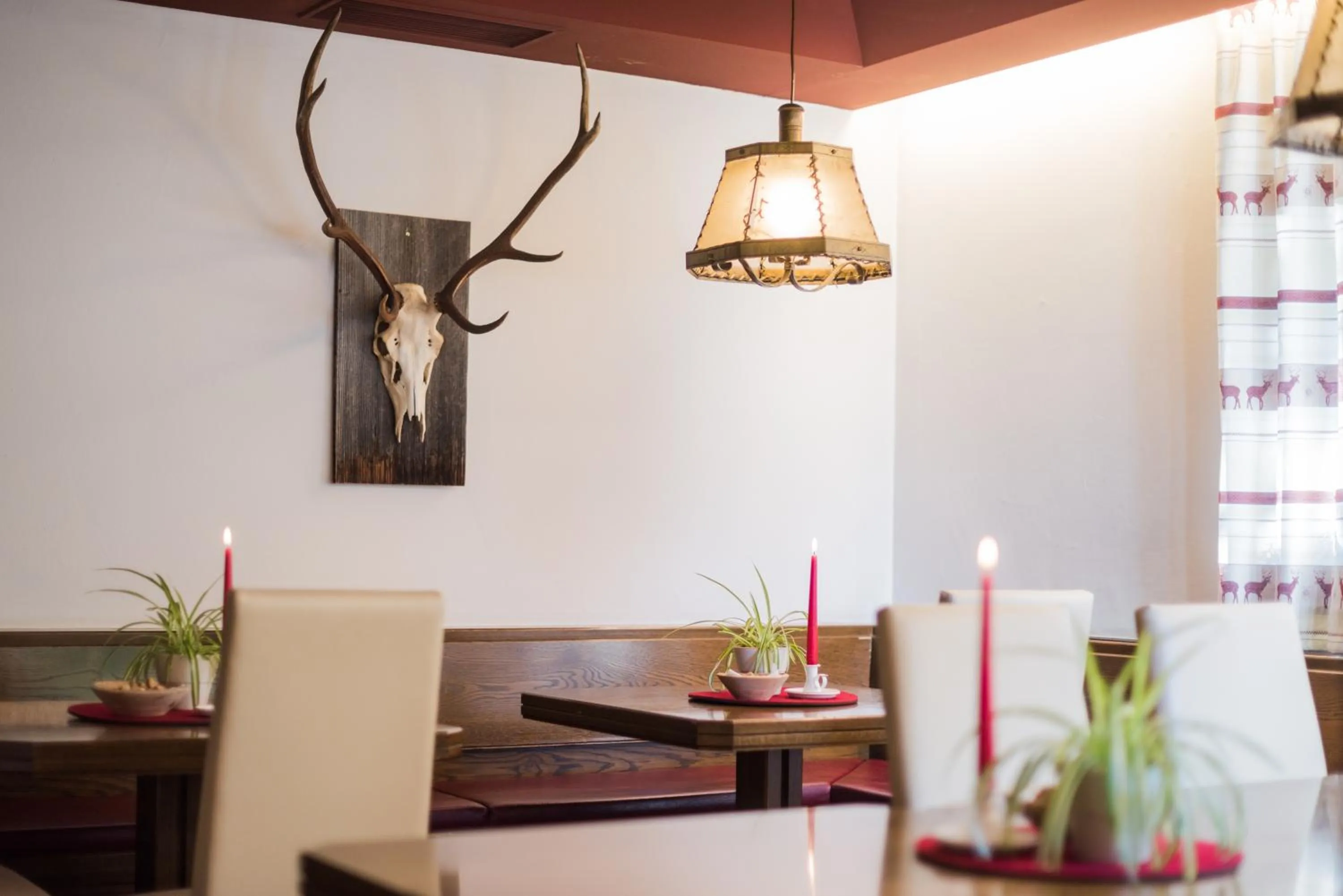 Lounge or bar in Hotel Mühlenerhof