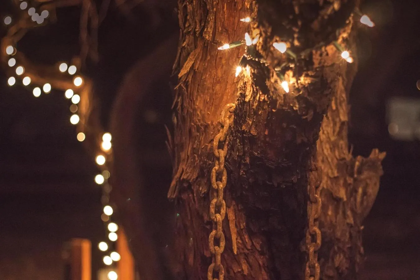 Night in Katie's Cozy Cabins