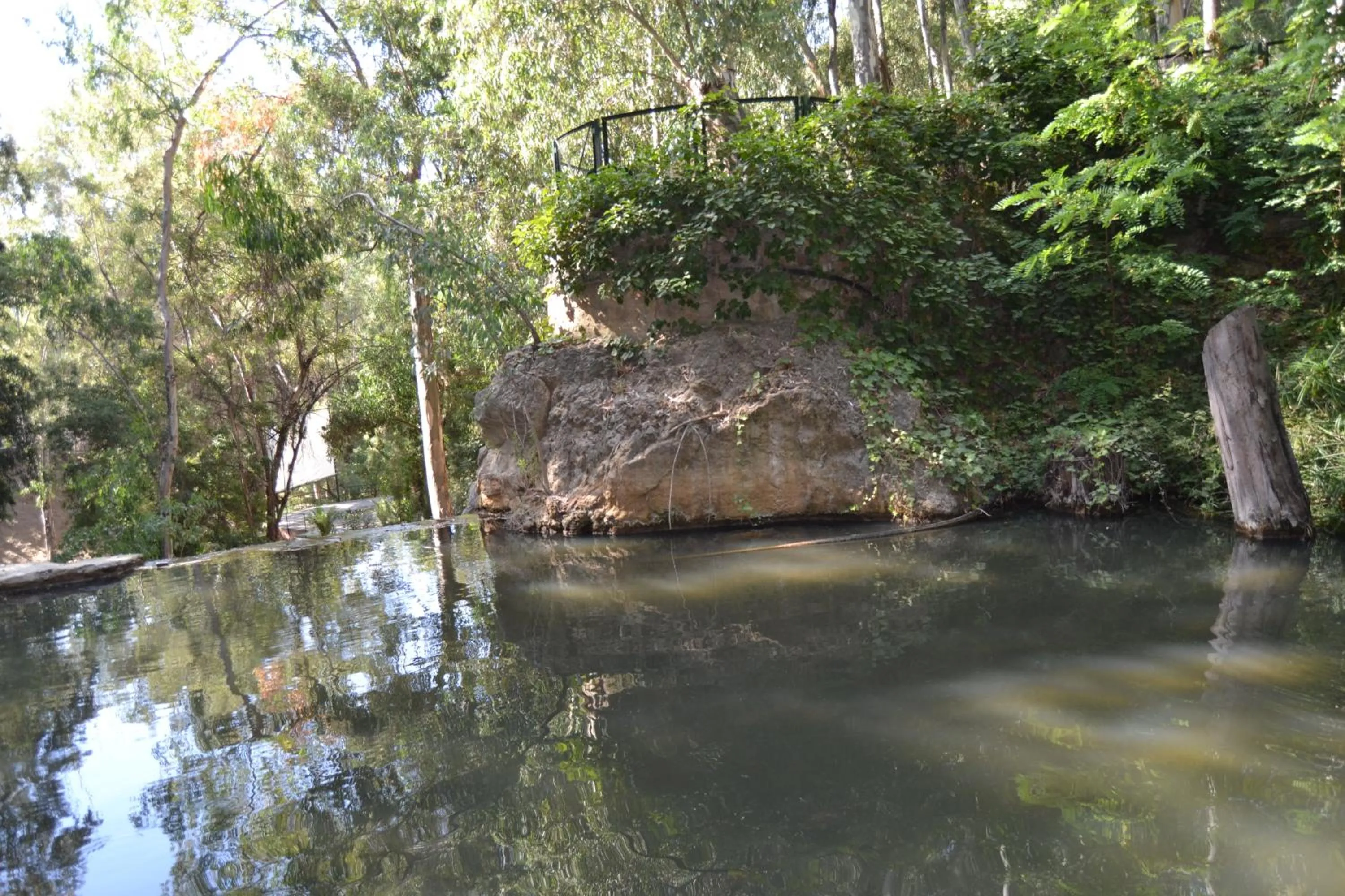 Day in Hotel Central