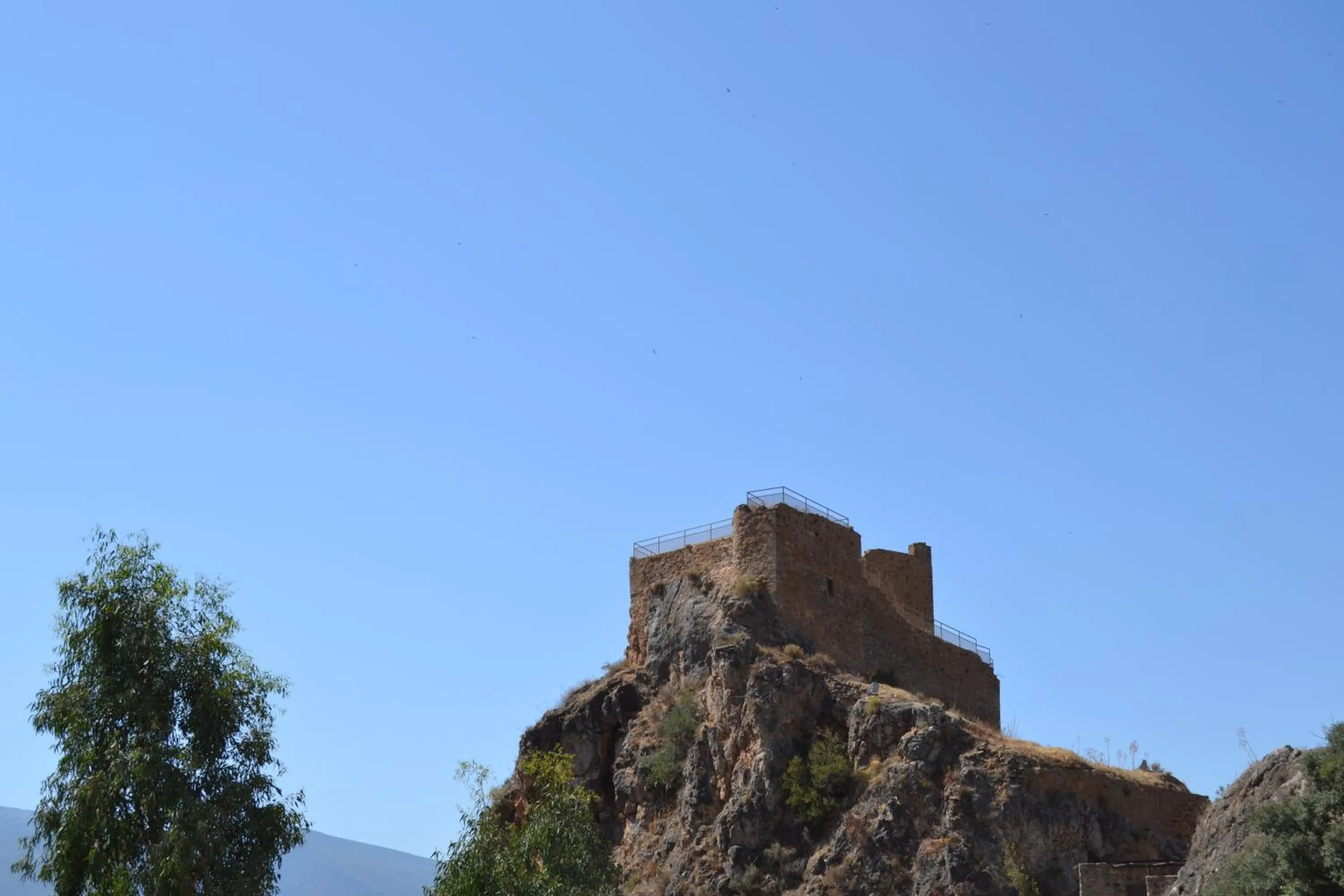 Day in Hotel Central