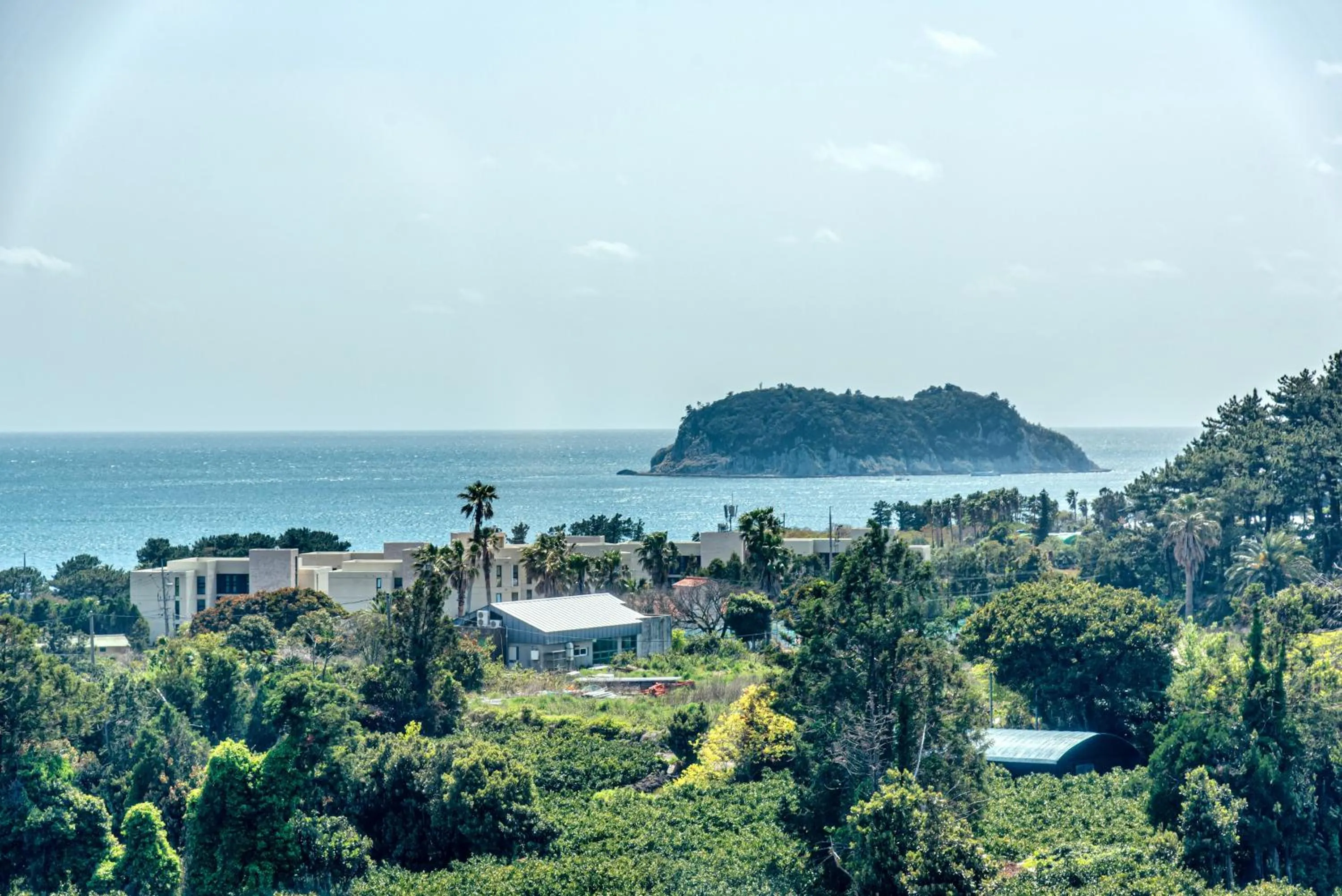 Off site in Jeju Bom stay & Art Gallery