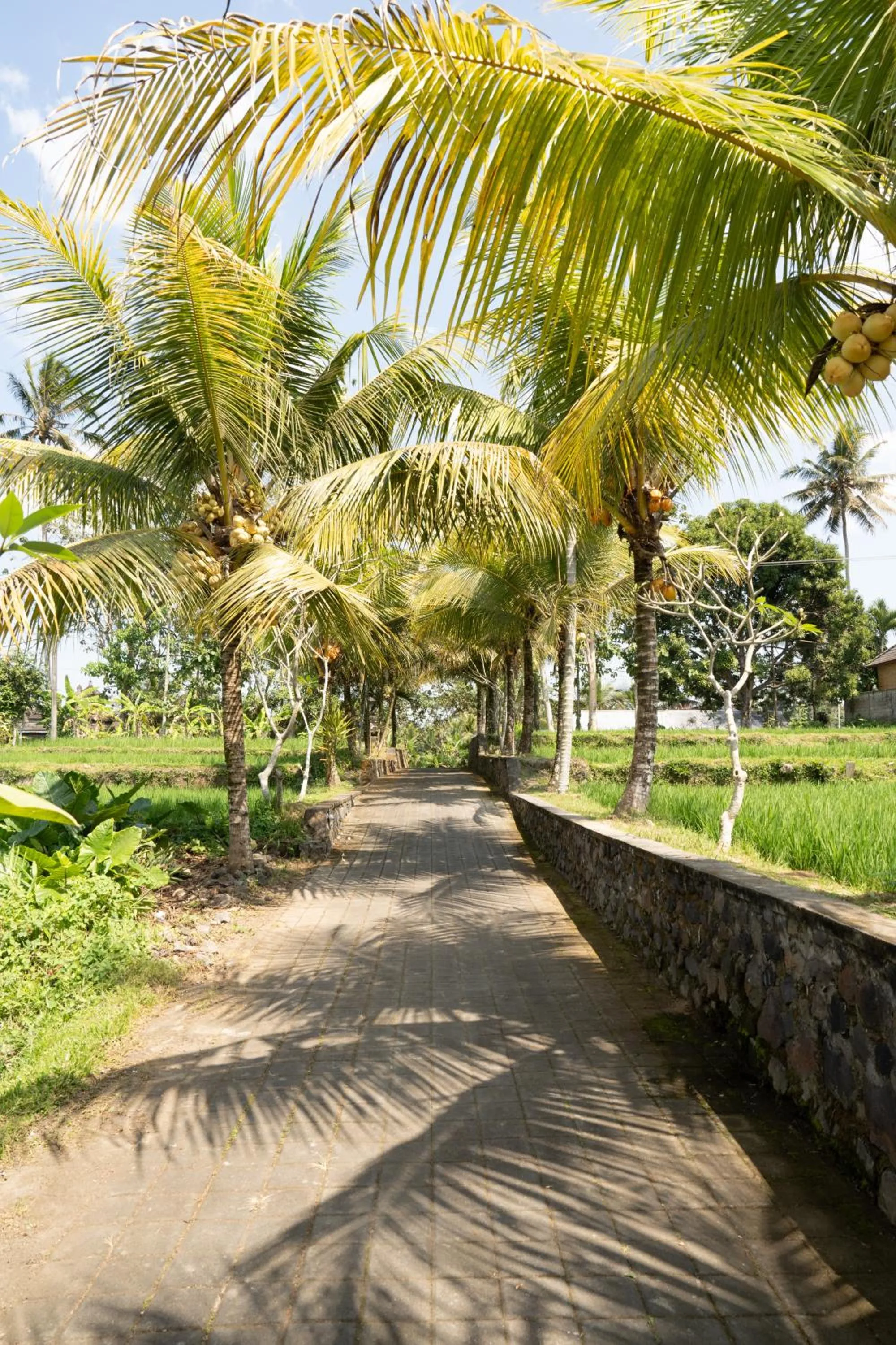 Street view in Meng Bengil Villa