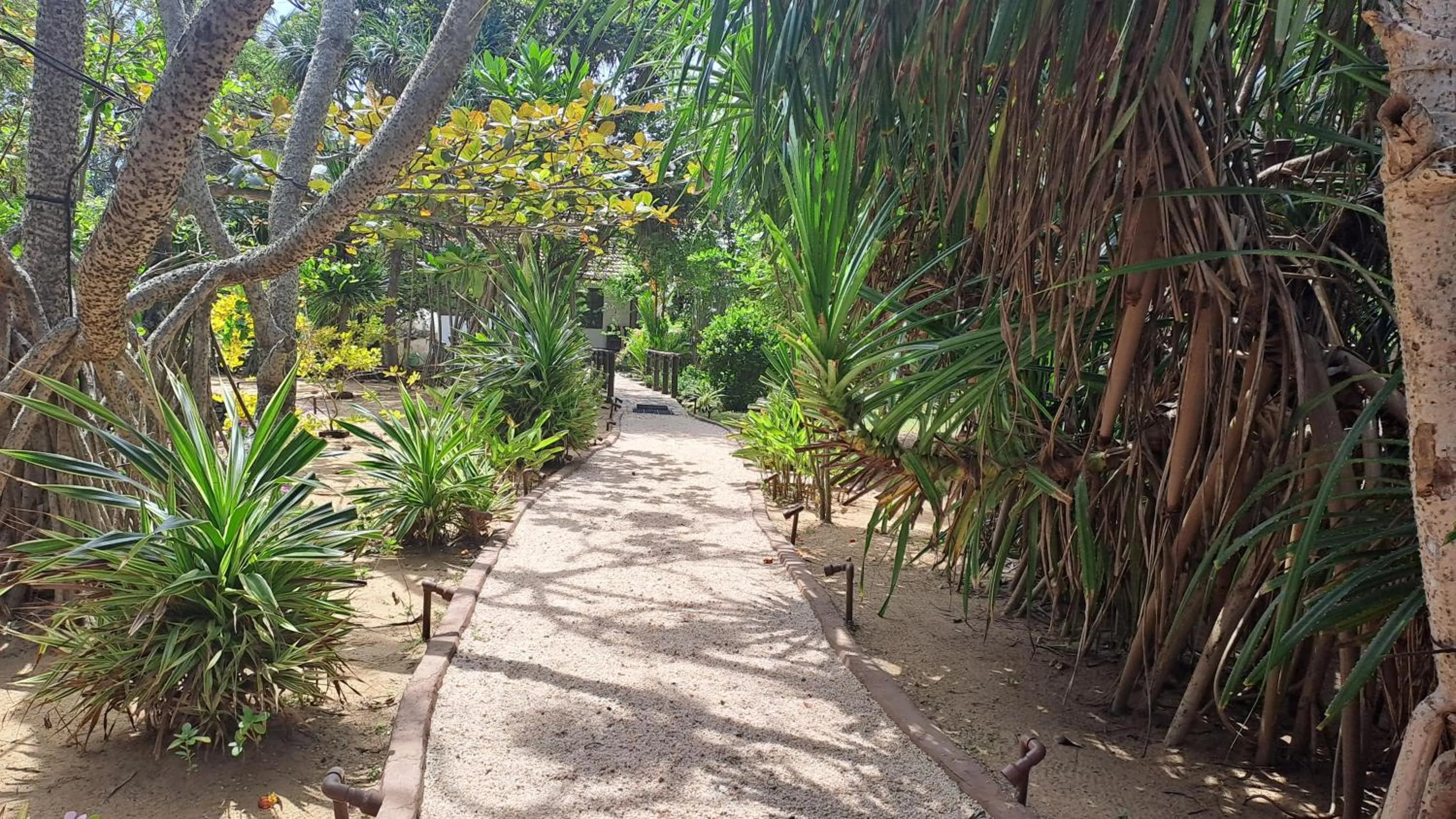 Garden in Puetz Travels Beach Resort