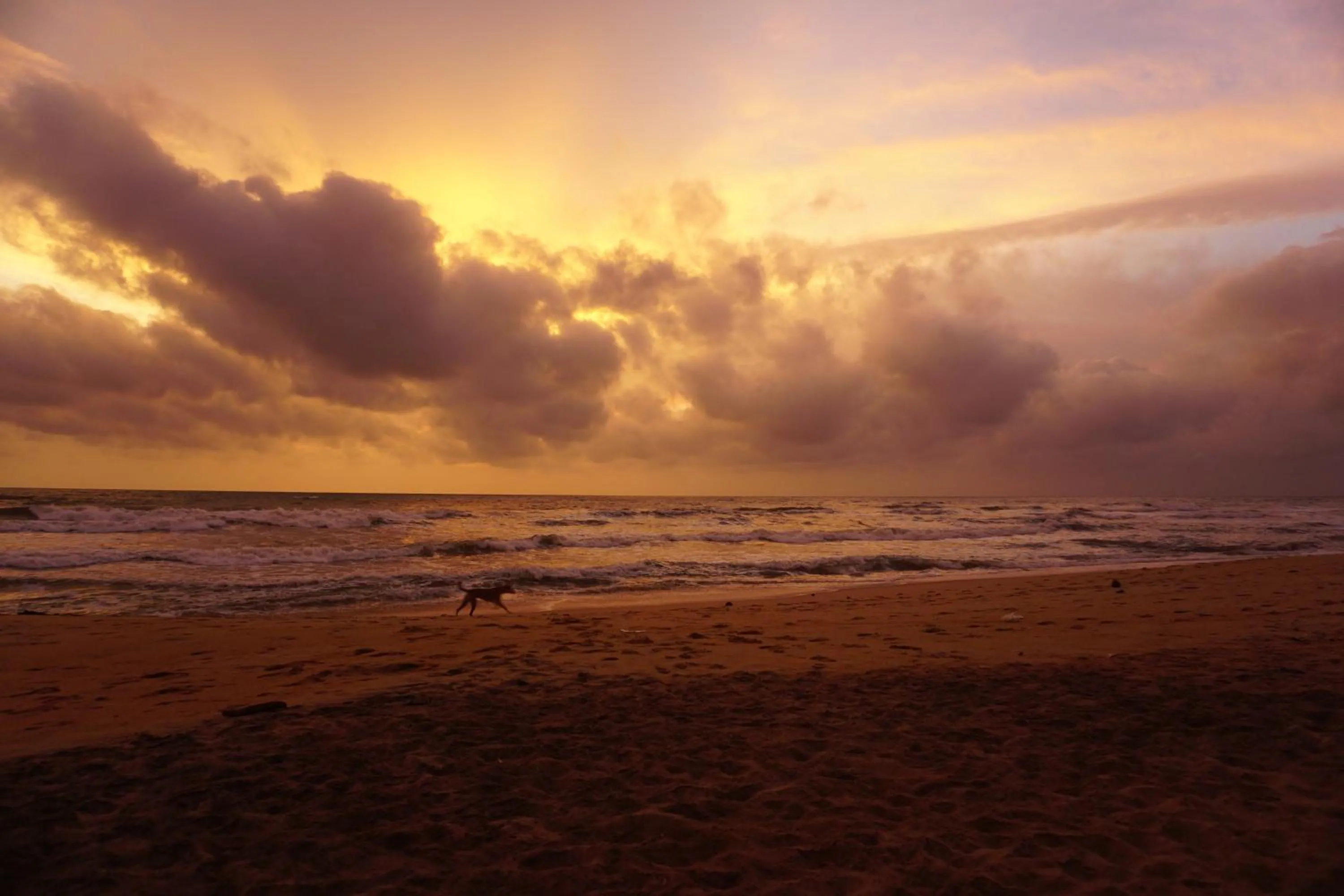 Beach in Puetz Travels Beach Resort