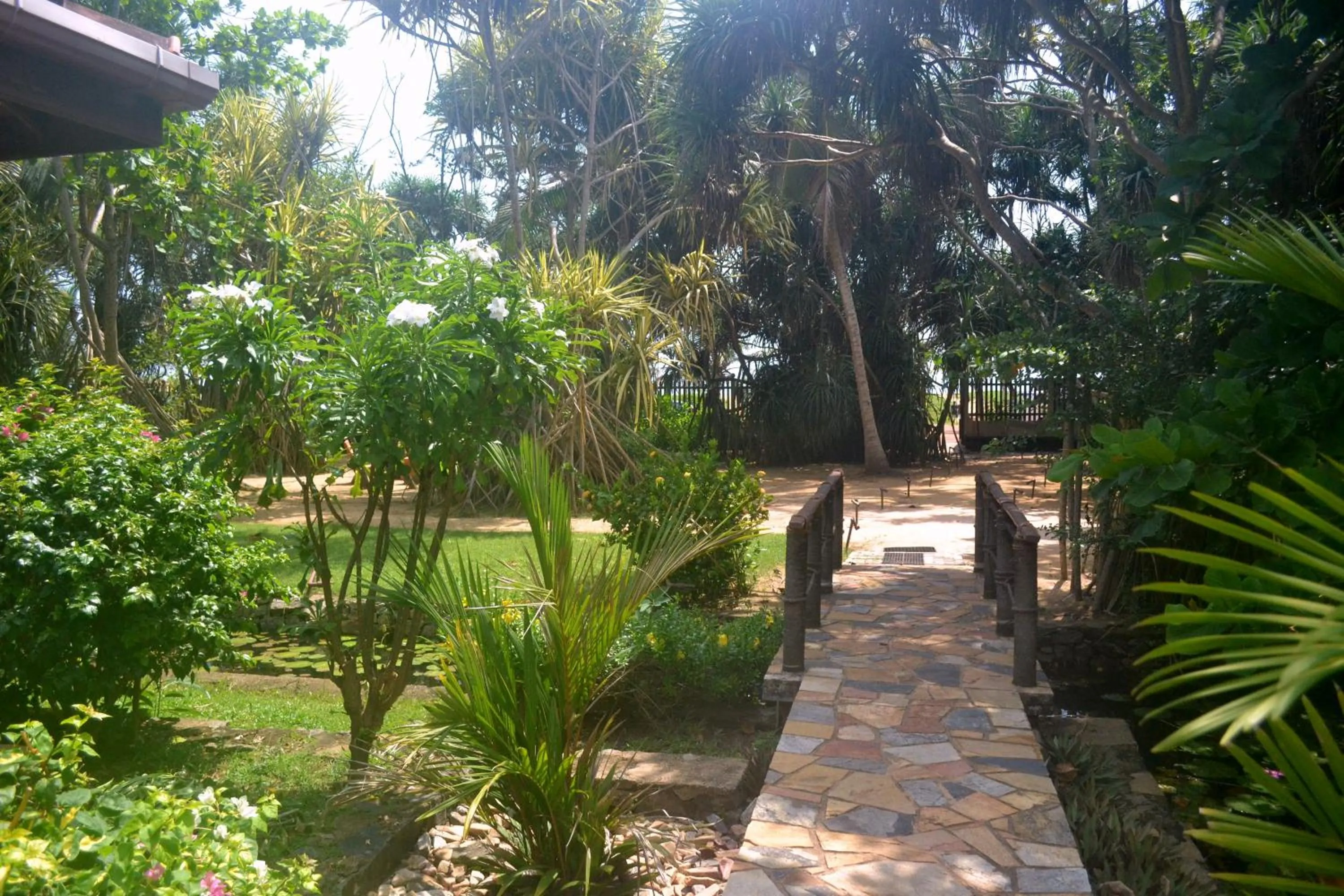 Garden in Puetz Travels Beach Resort
