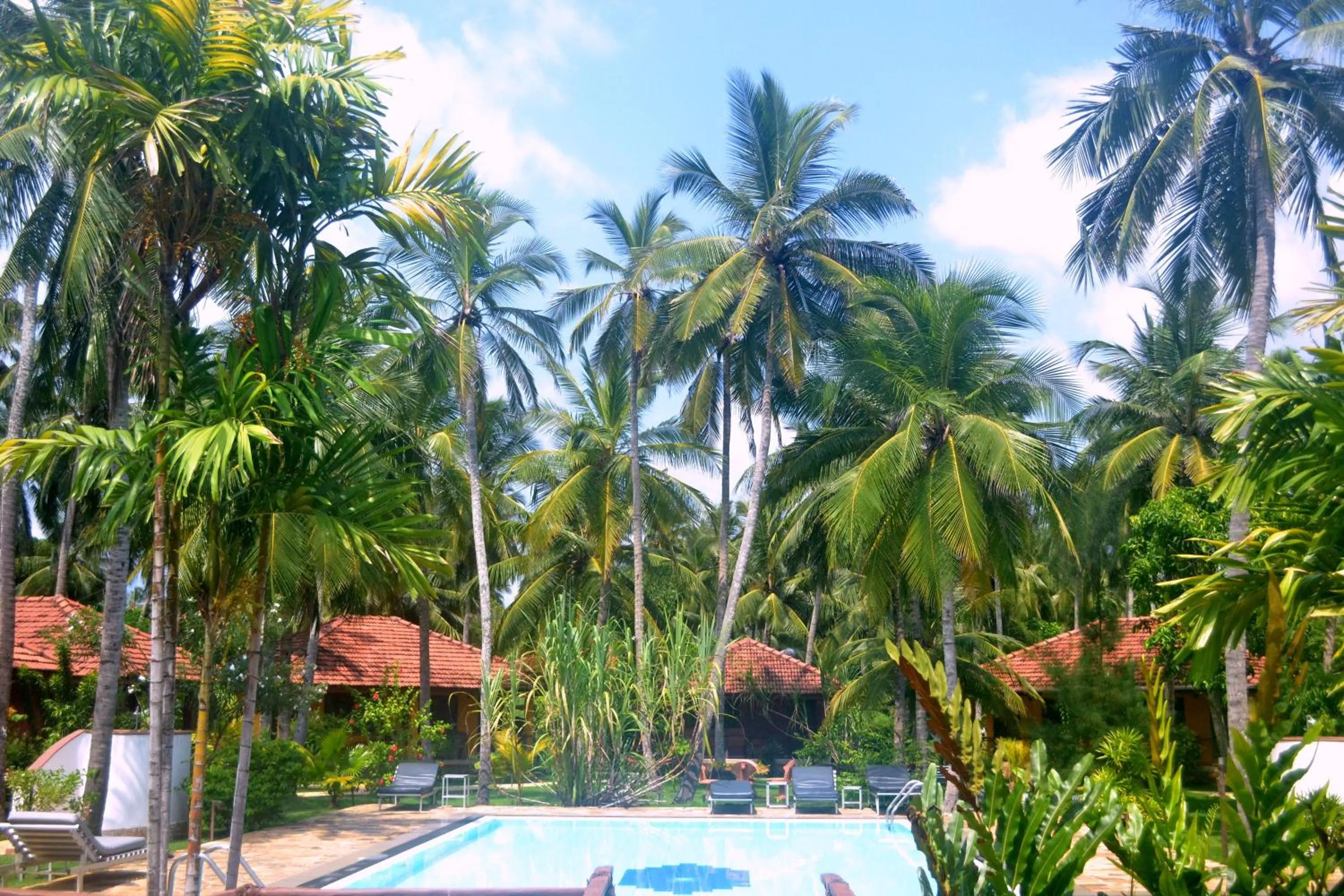 Swimming pool in Puetz Travels Beach Resort