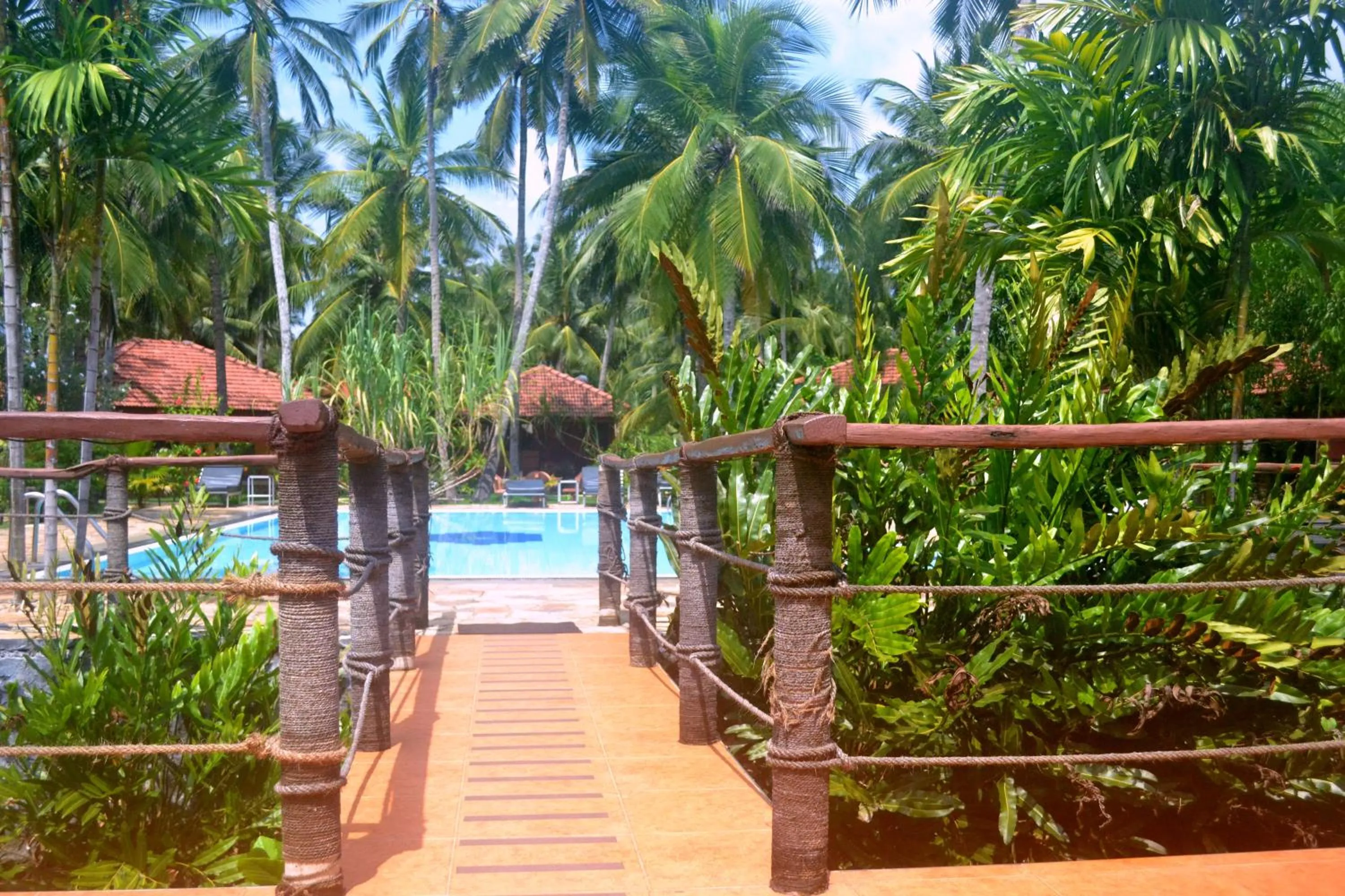 Garden in Puetz Travels Beach Resort