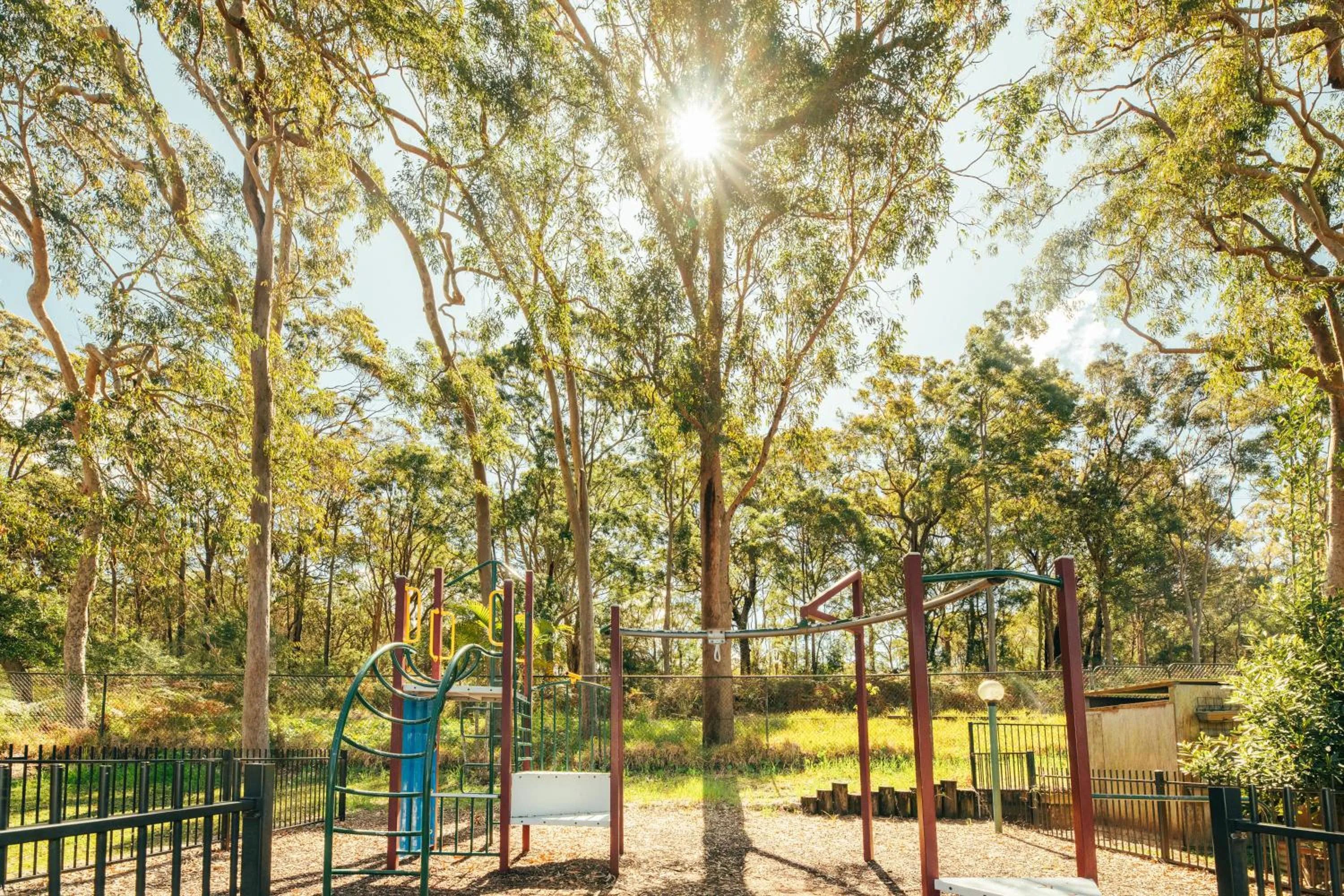 Activities in Koala Shores Holiday Park