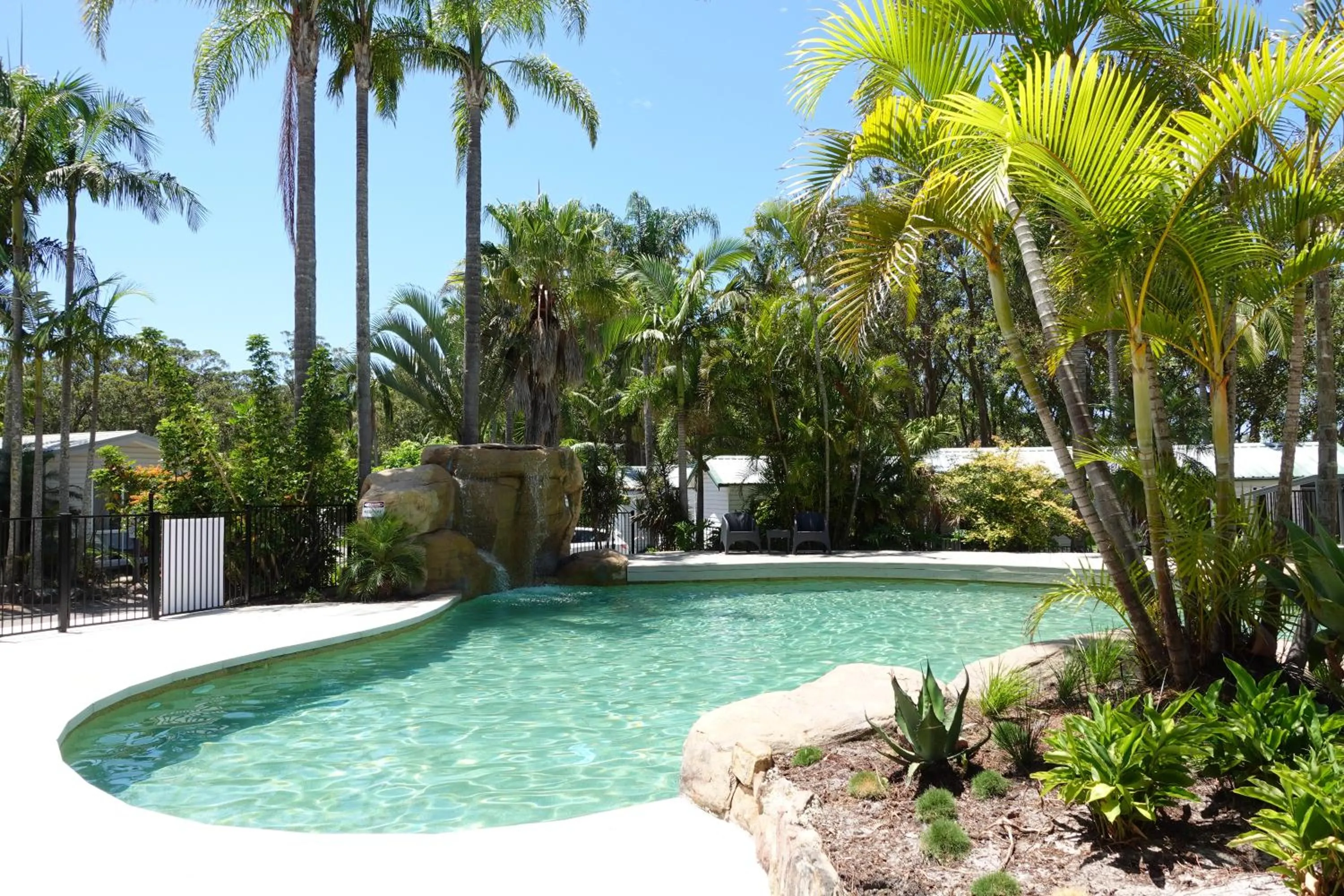 Swimming pool in Koala Shores Holiday Park