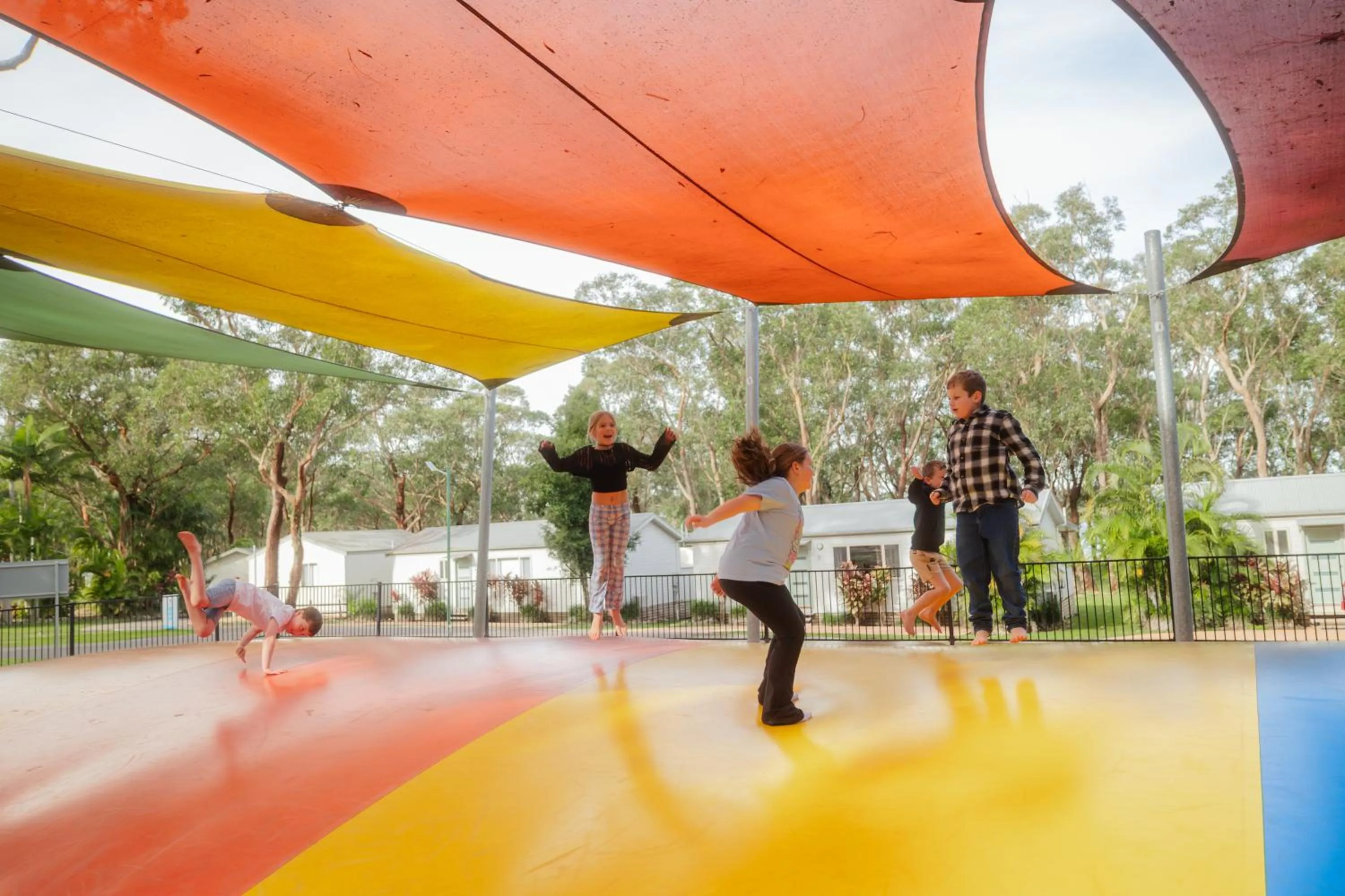 Activities in Koala Shores Holiday Park