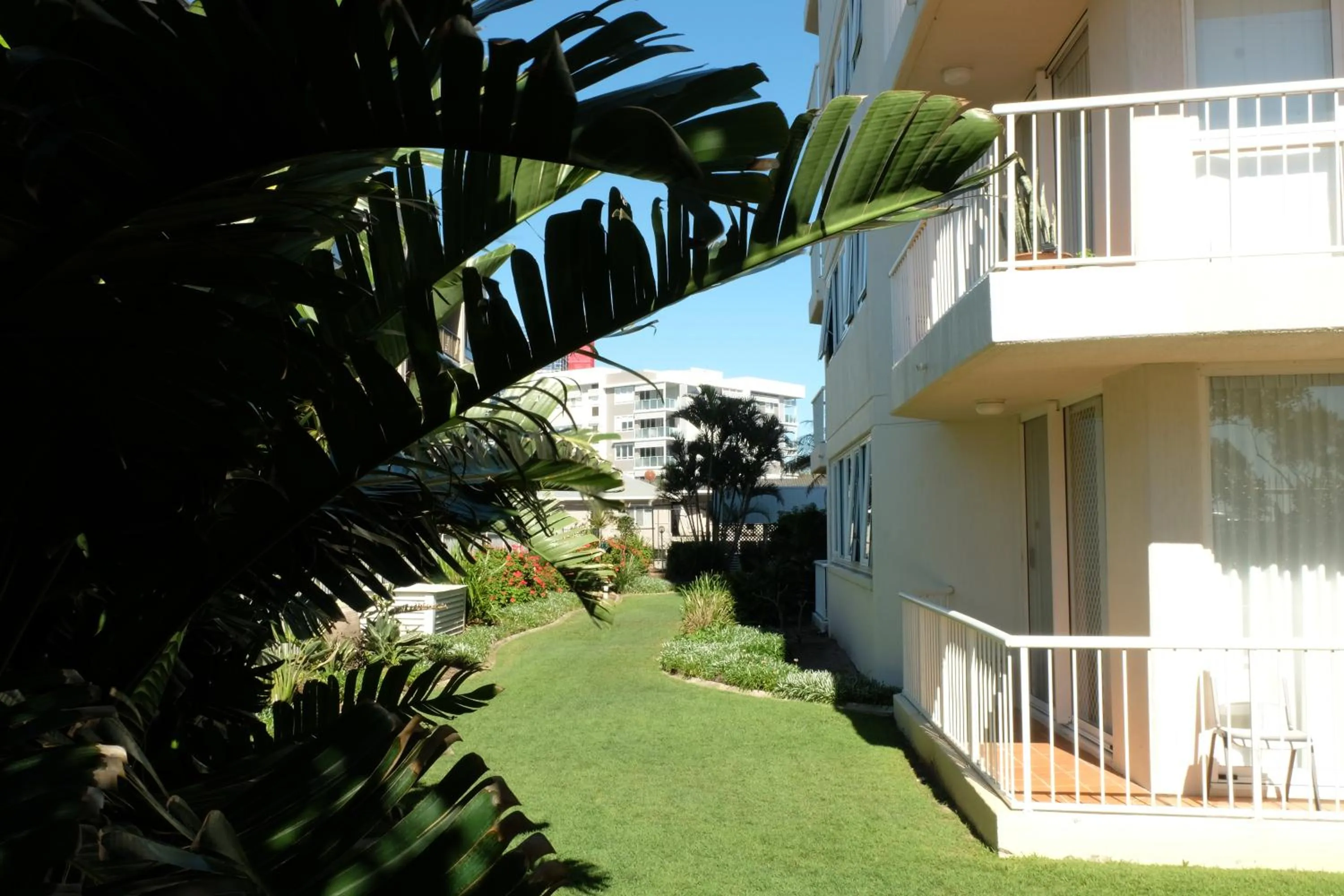 Garden in Meridian Tower Kirra Beach