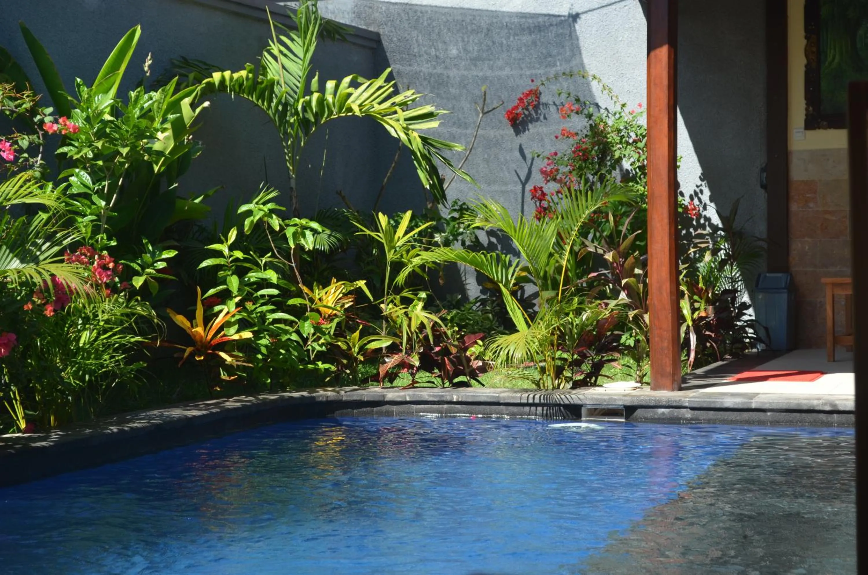 Swimming pool in Villa Sahabat
