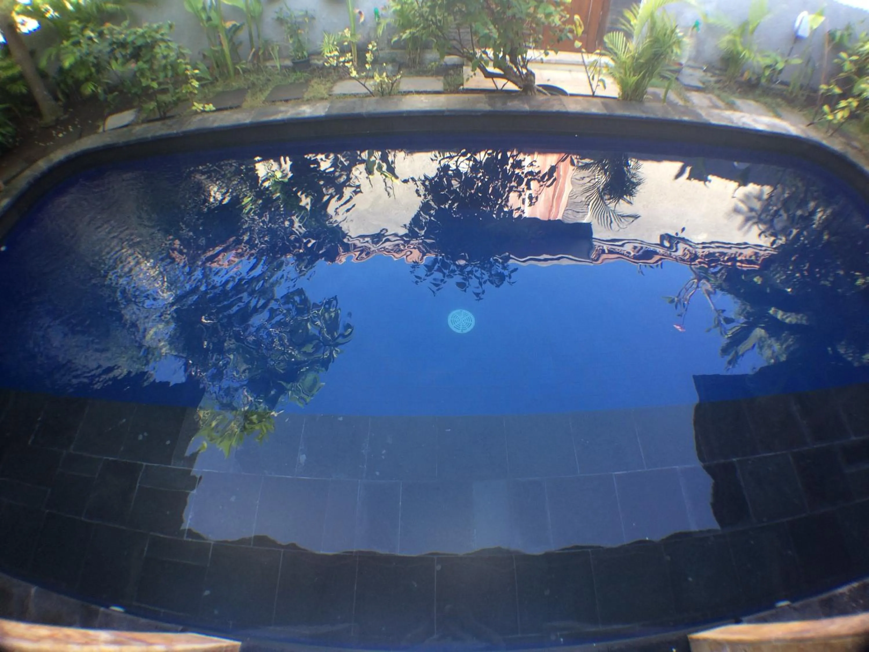 Pool view in Villa Sahabat
