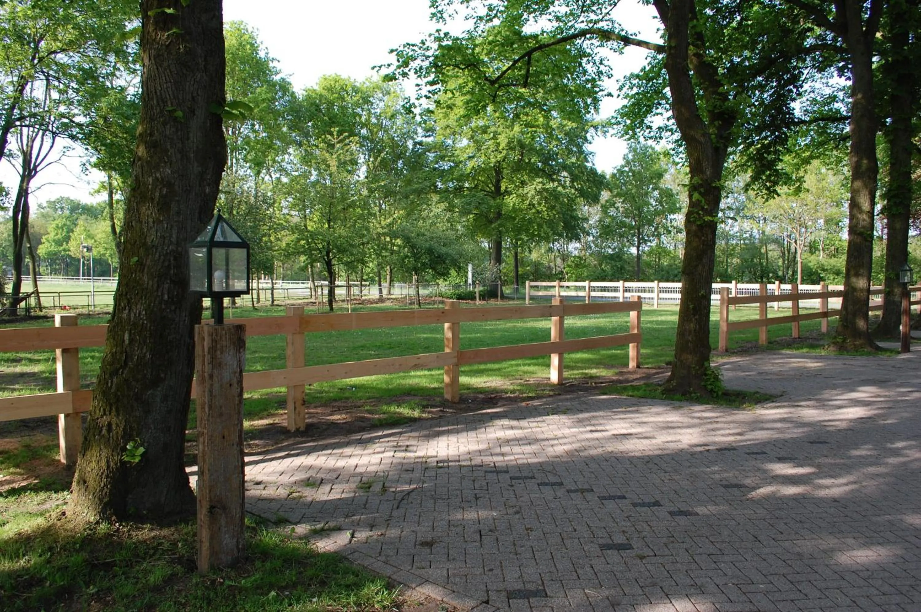 Garden in Human & Horse Hotel