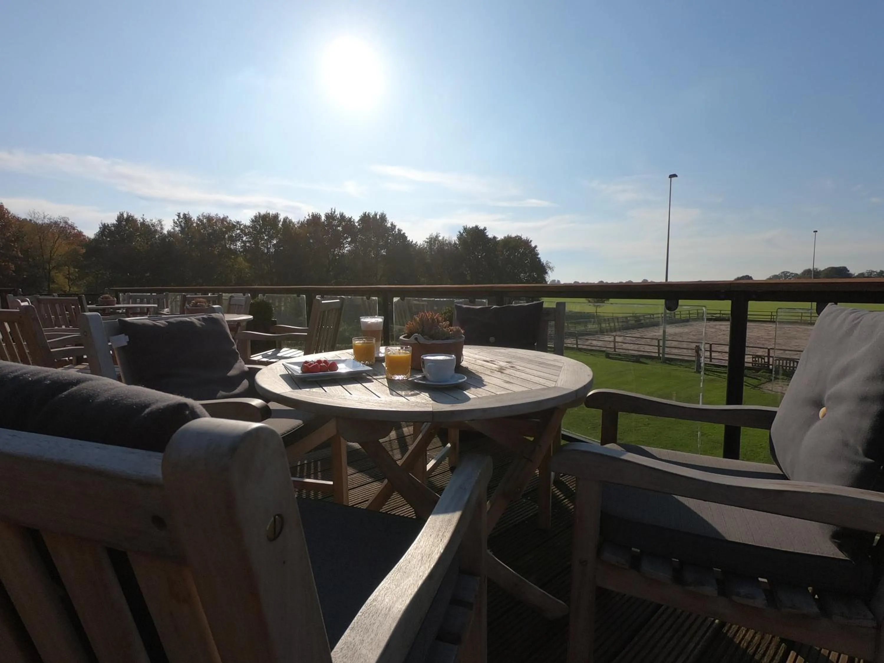 Balcony/Terrace in Human & Horse Hotel