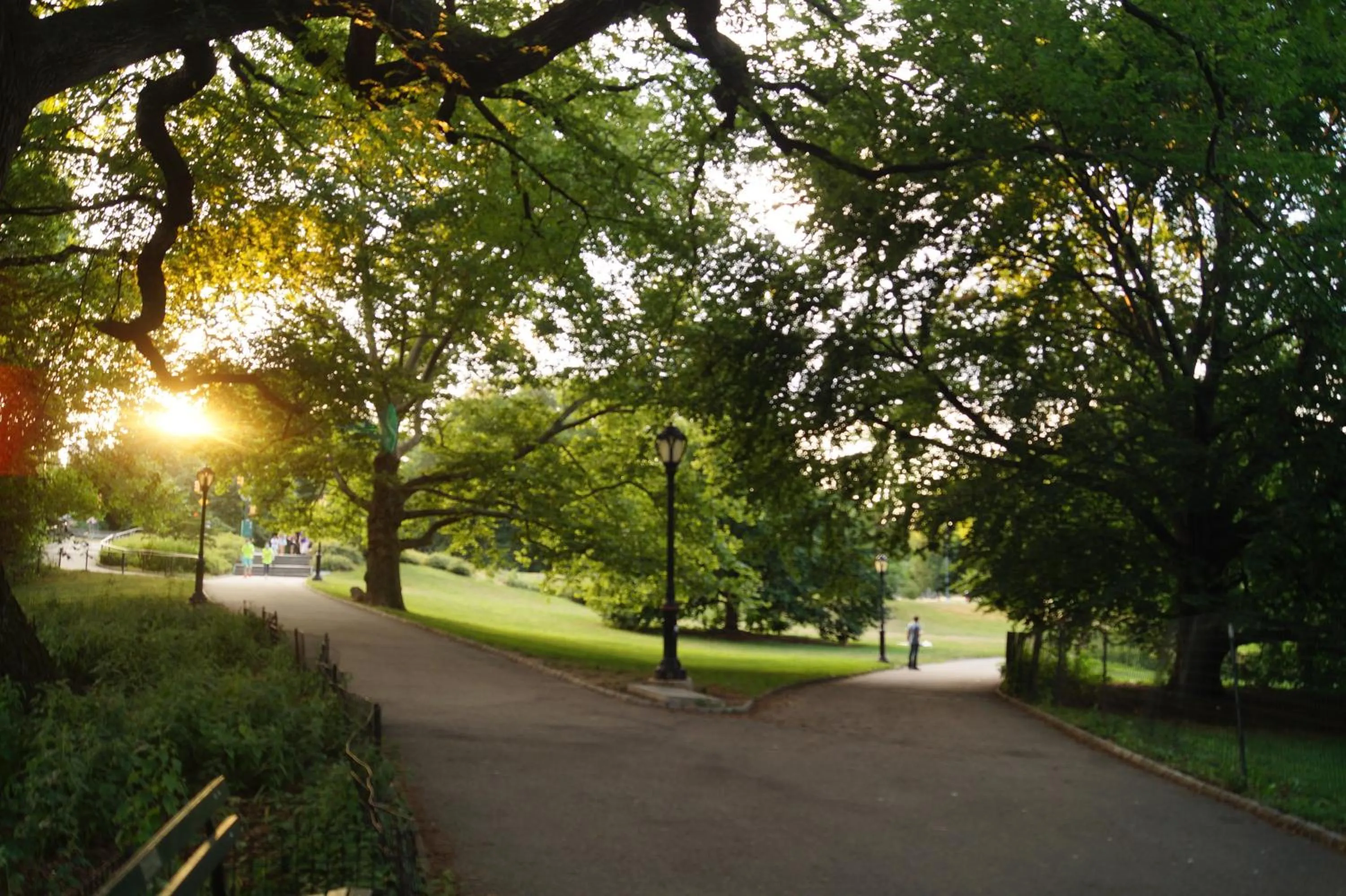 Hiking in Macaw Guest House