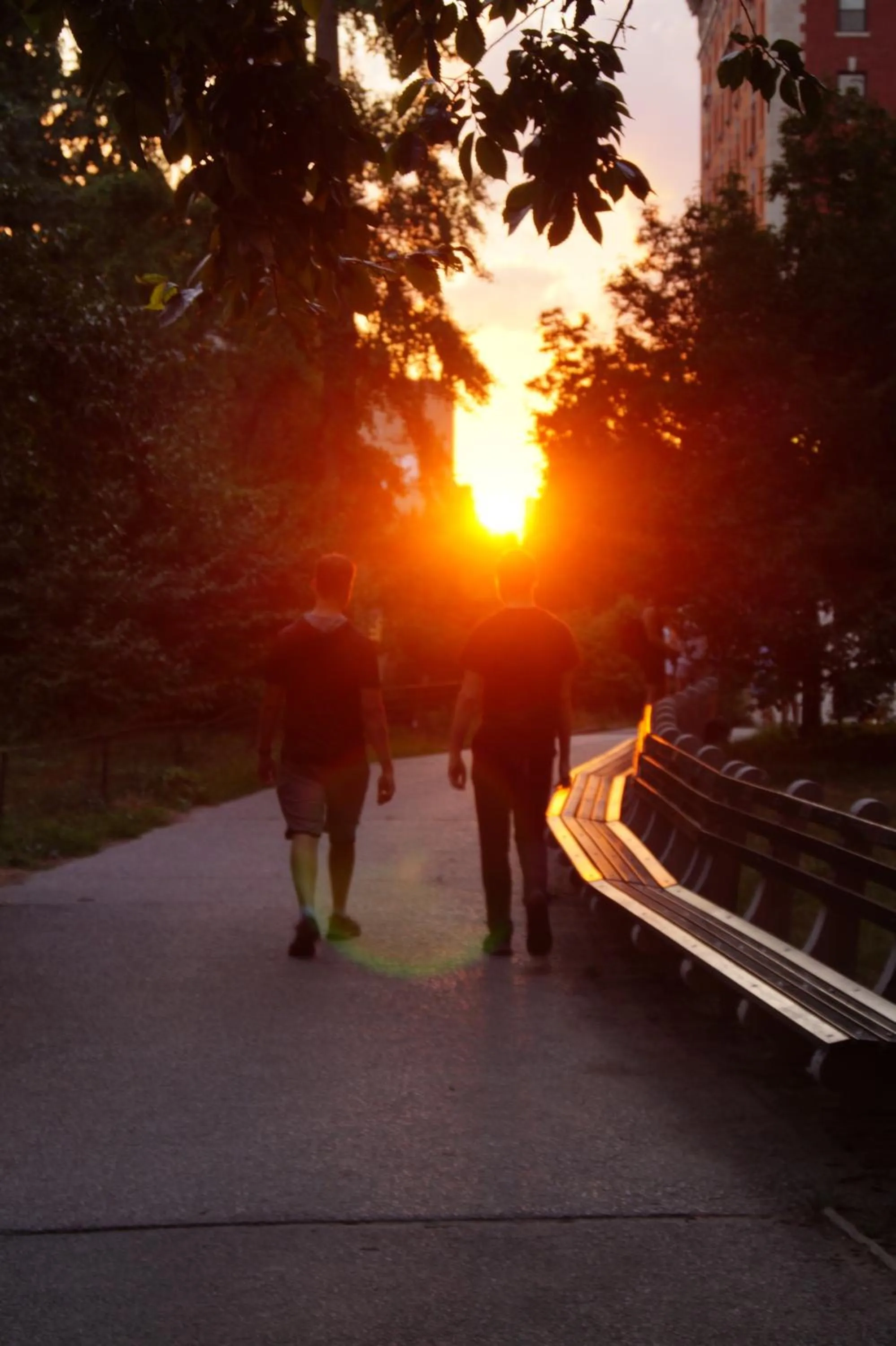 Hiking in Macaw Guest House