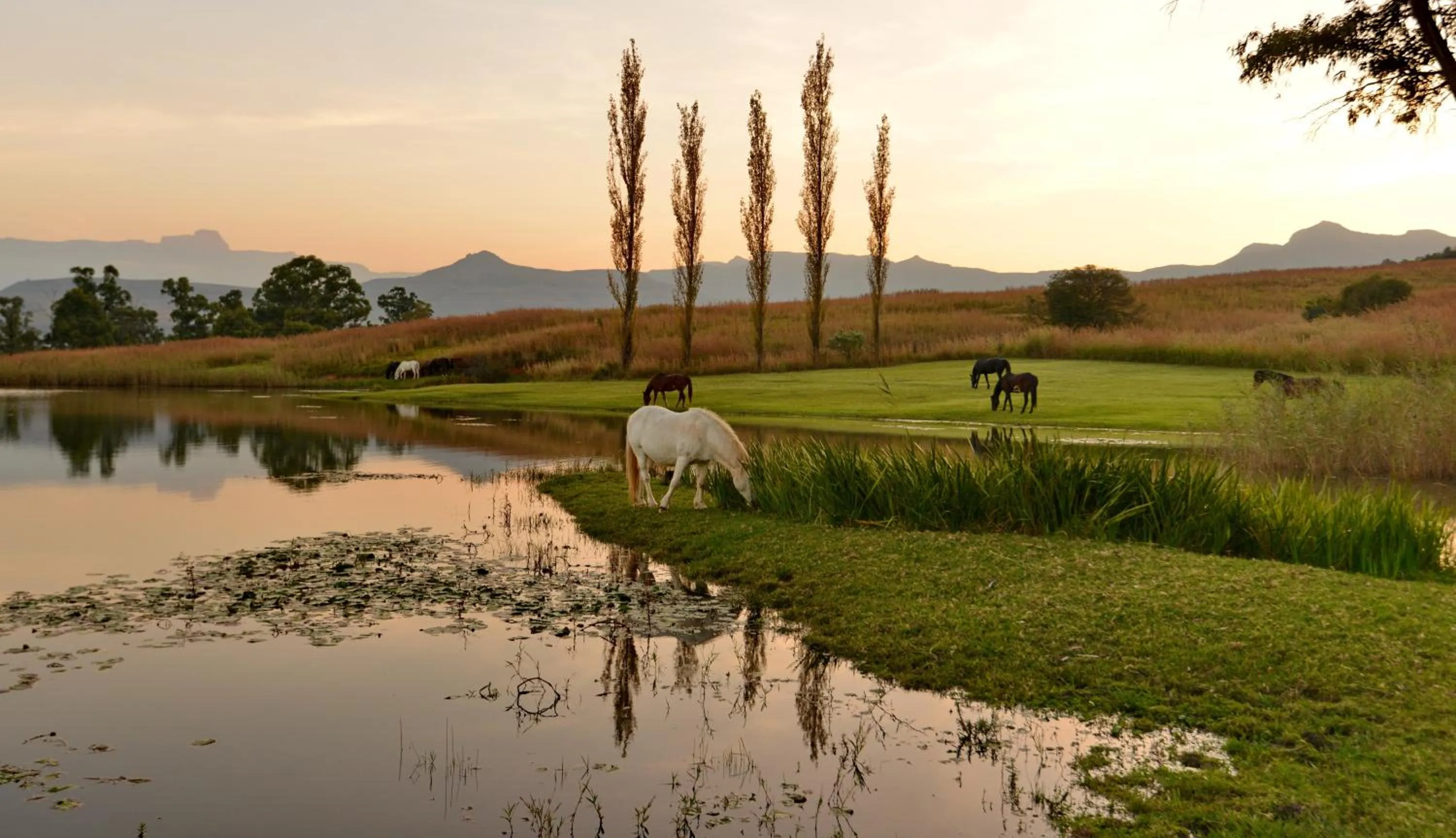 Lake view in Montusi Mountain Lodge