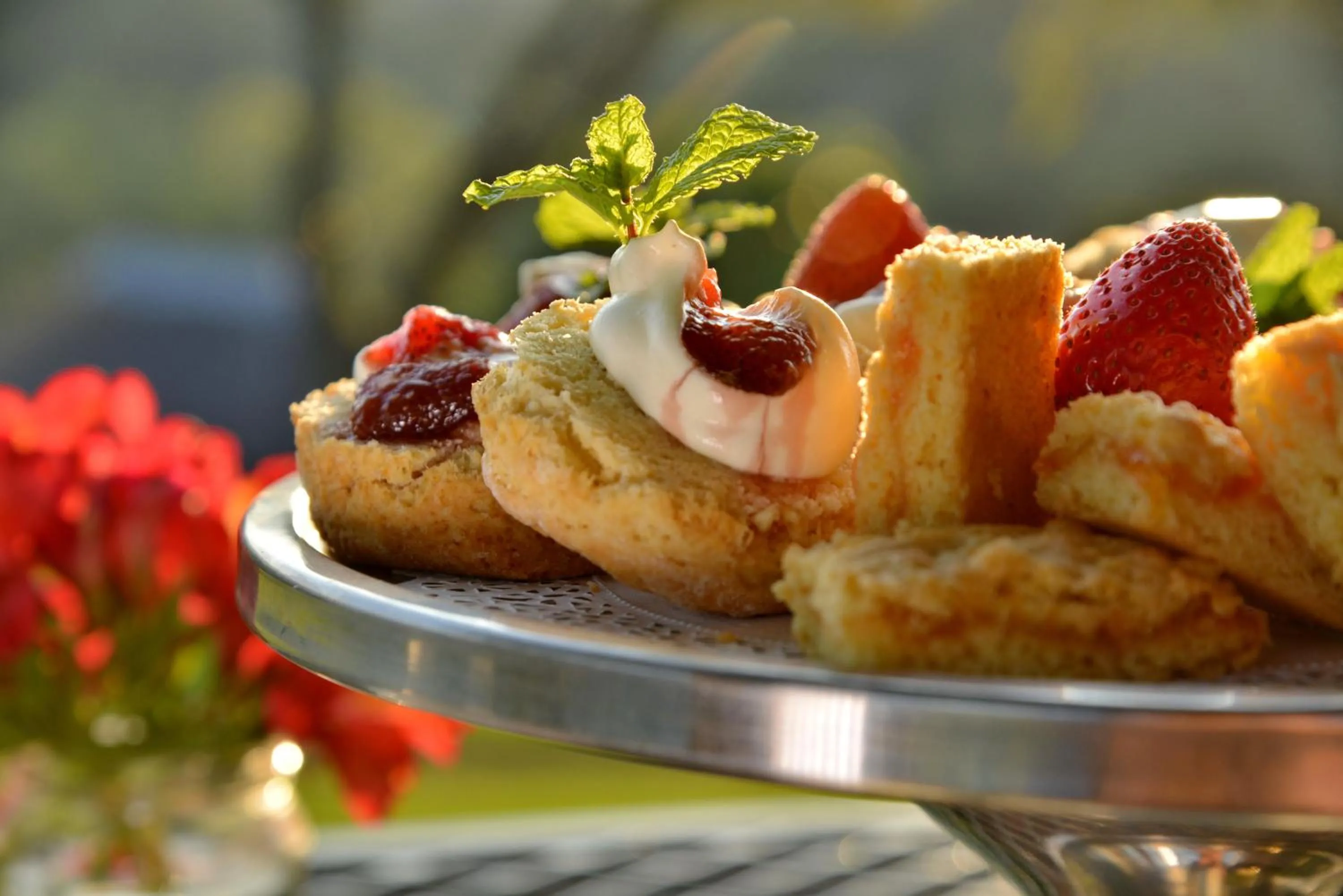 Restaurant/places to eat in Montusi Mountain Lodge