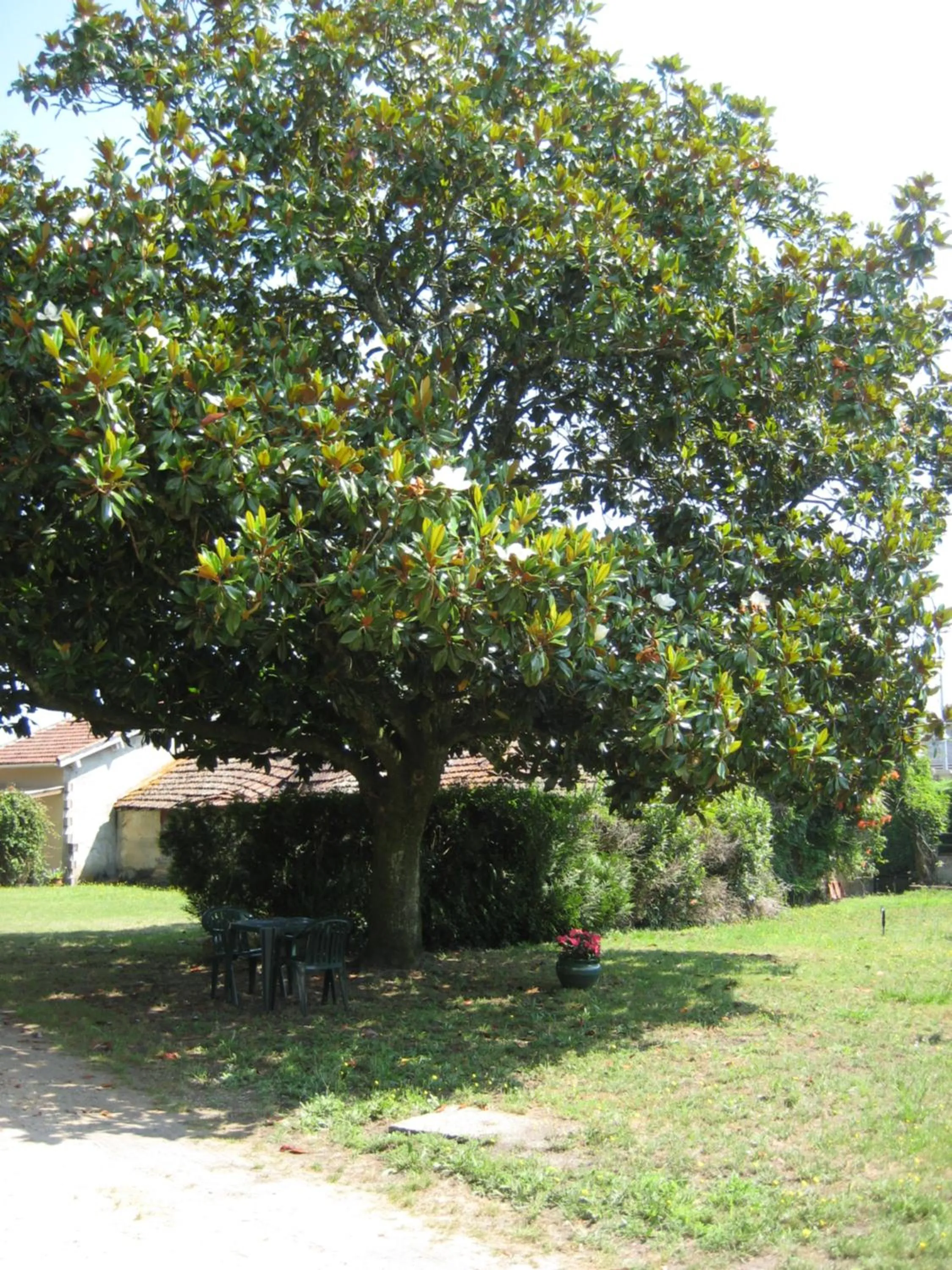 Garden in Hotel Bellevue de tradition familiale