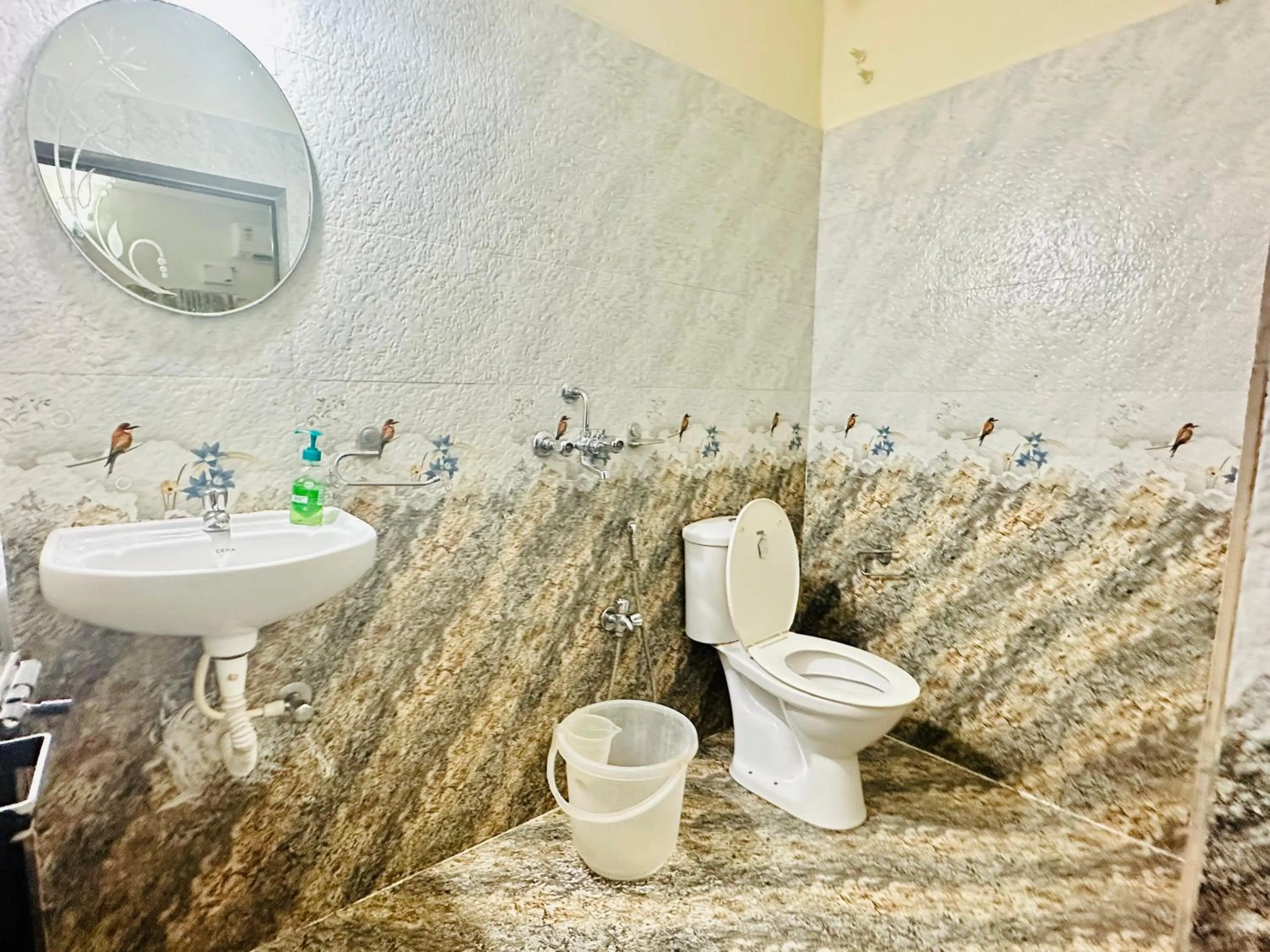 Shower in Hotel Leela Inn