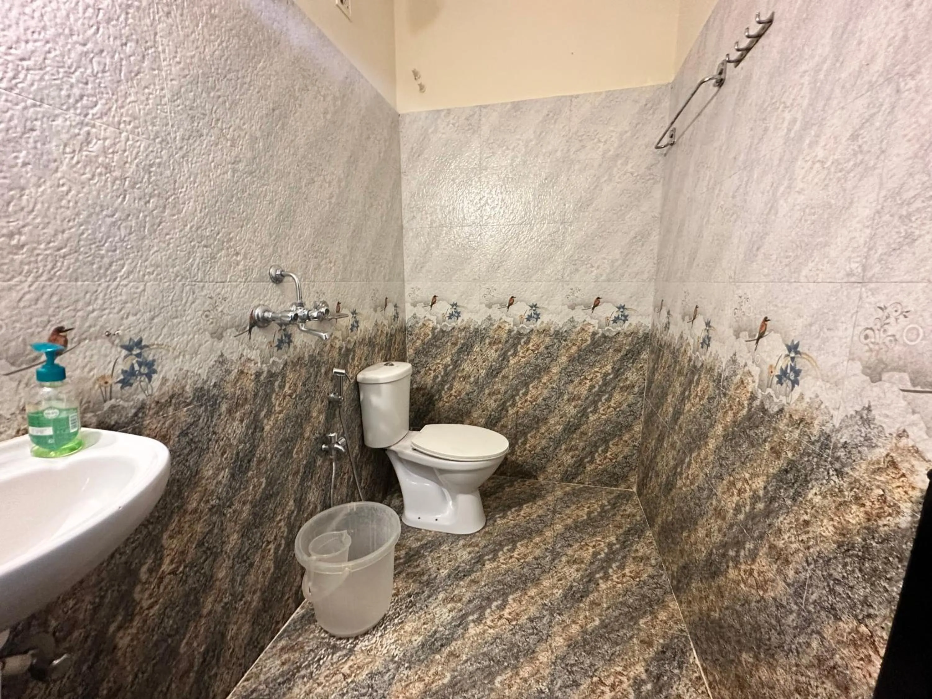 Shower in Hotel Leela Inn