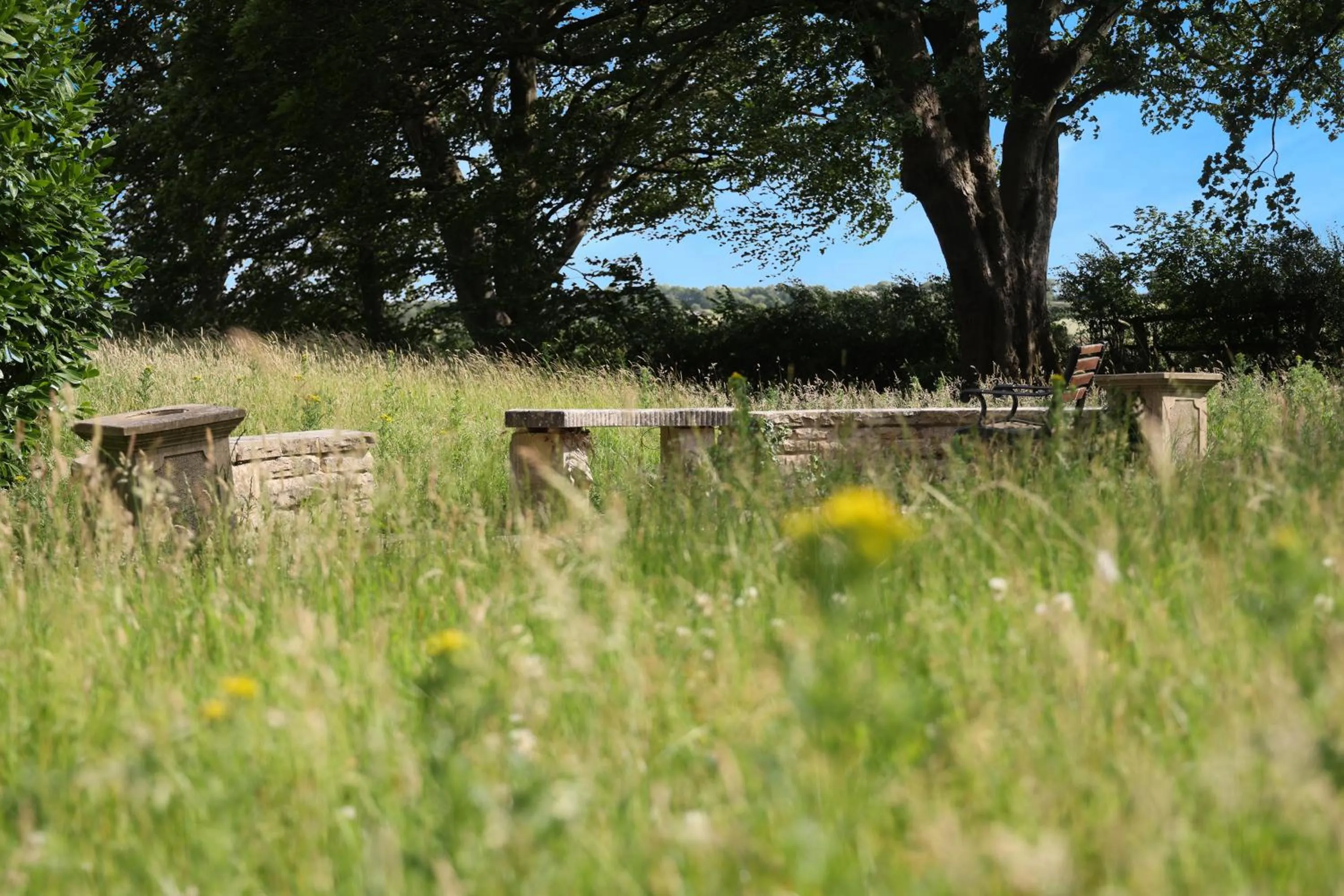 Natural landscape in OYO Tong Park Hotel
