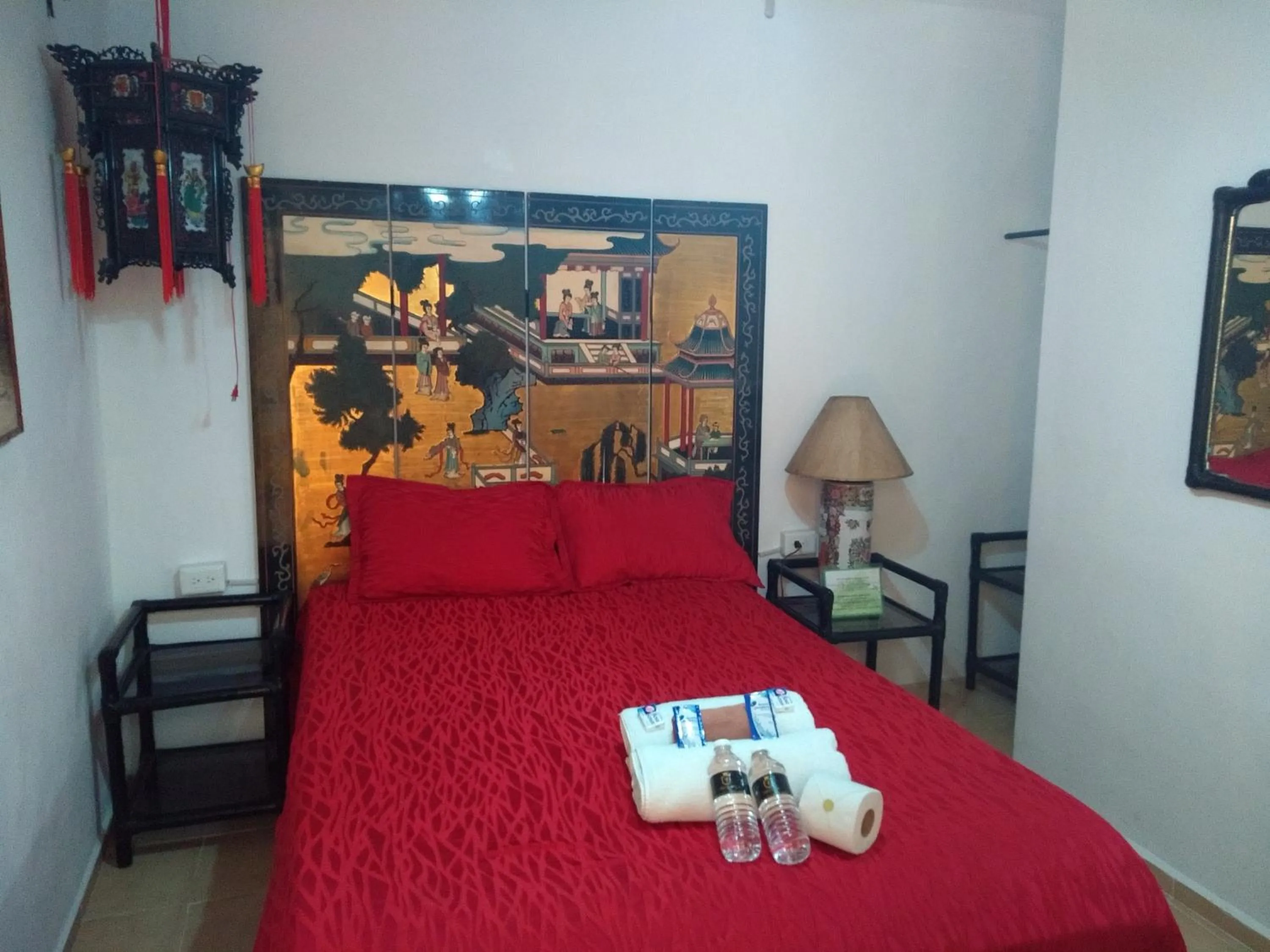 Economy Double Room in Palacio Canton Hotel - Valladolid